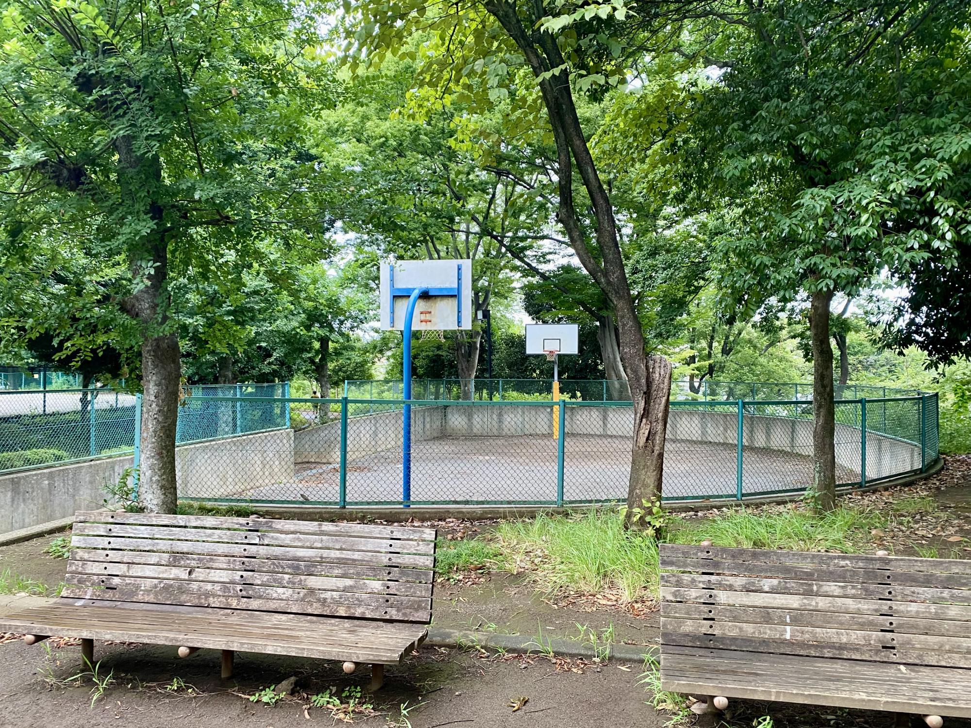 亀ヶ谷公園