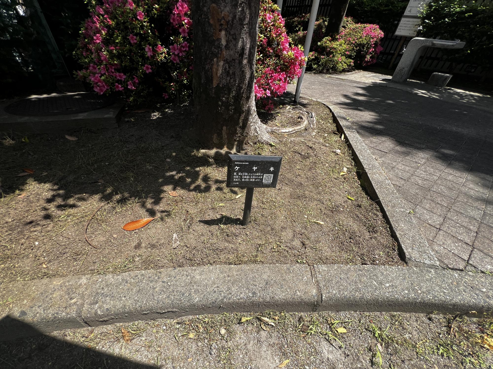 亀戸三丁目公園