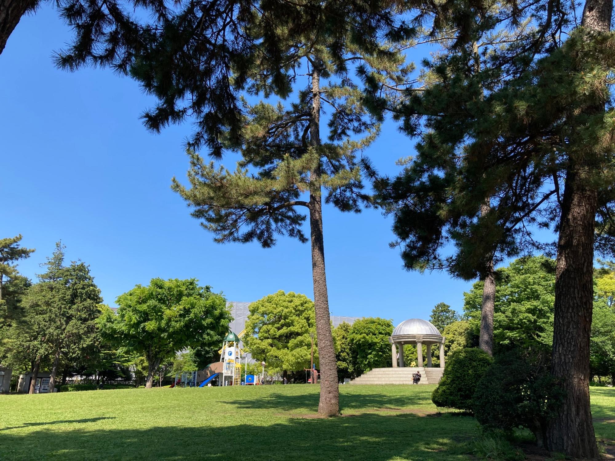 相模大野中央公園