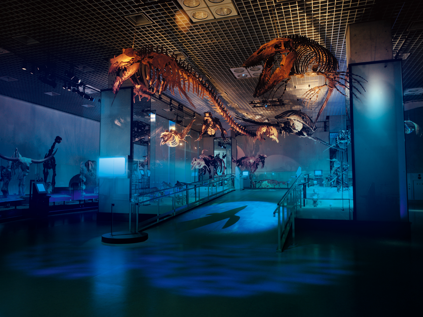 国立科学博物館