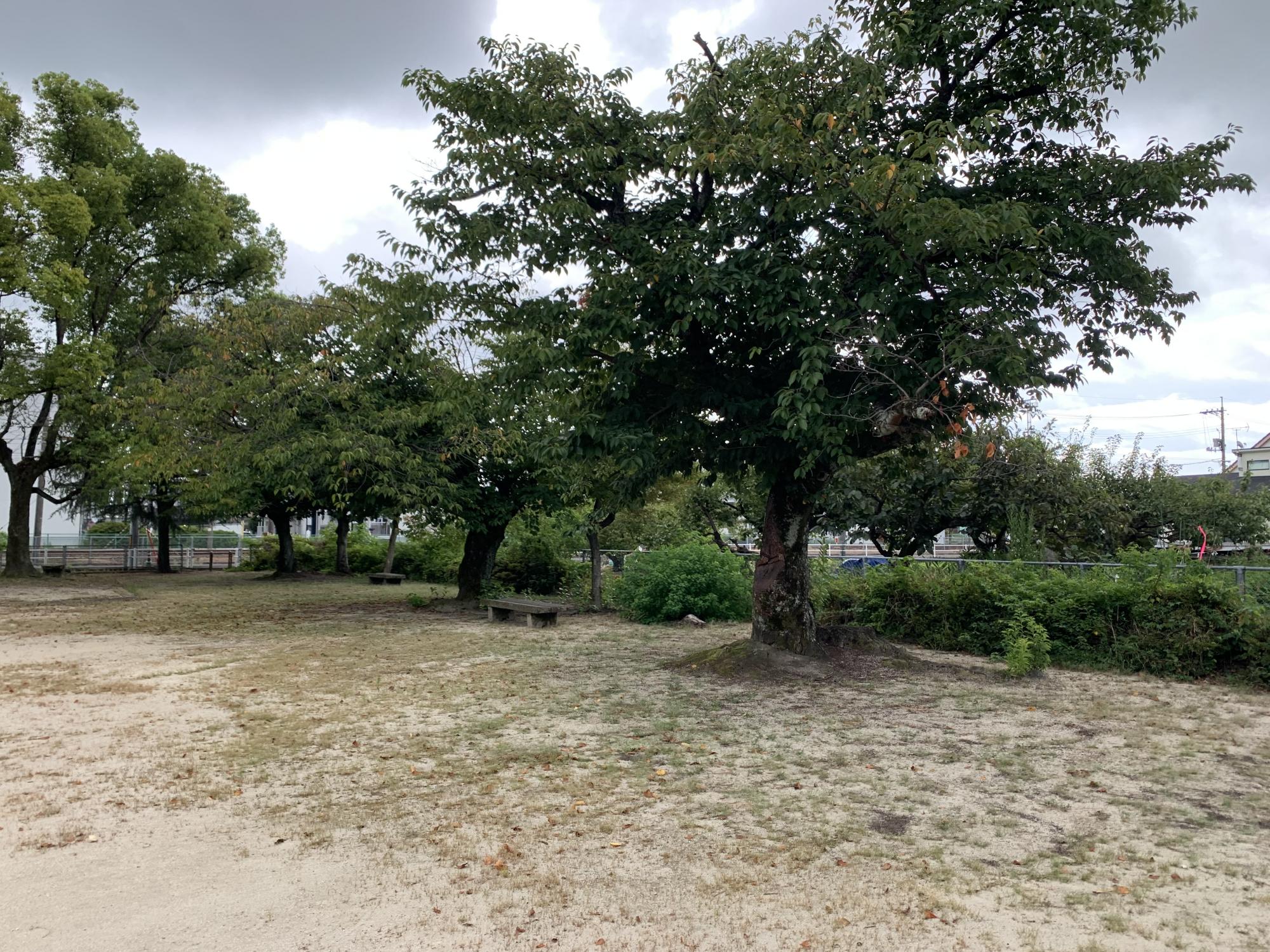 みどり児童公園