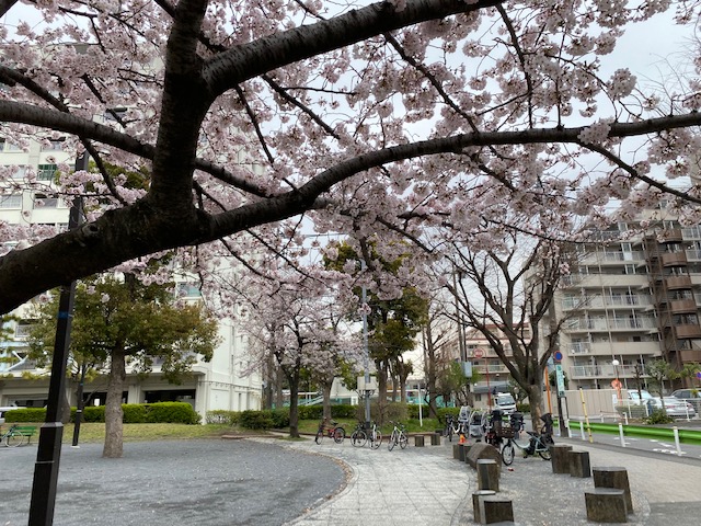 矢口二丁目公園