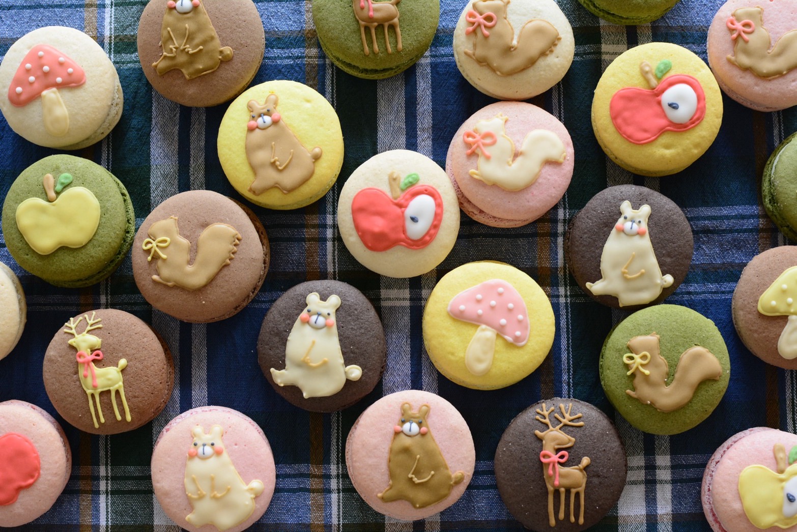 マカロン専門店 ココマカロン