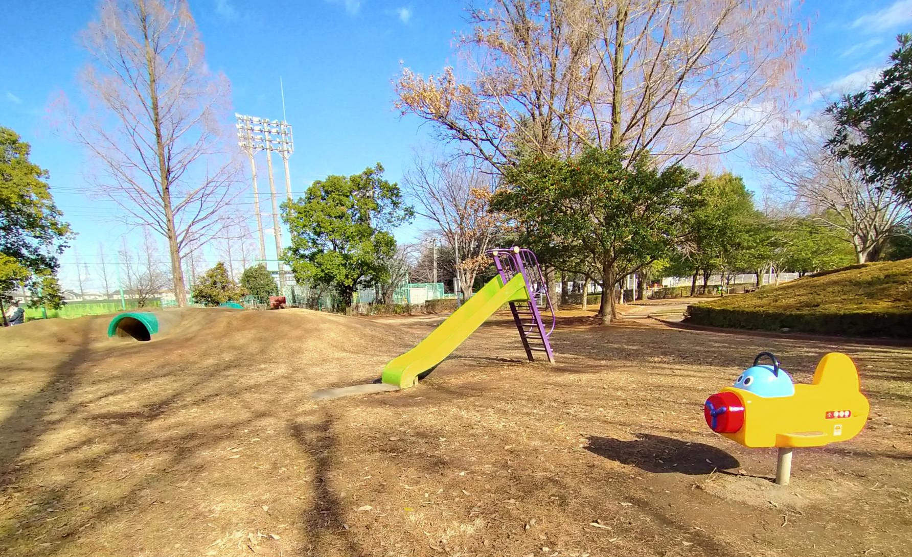 伊奈町制施行記念公園