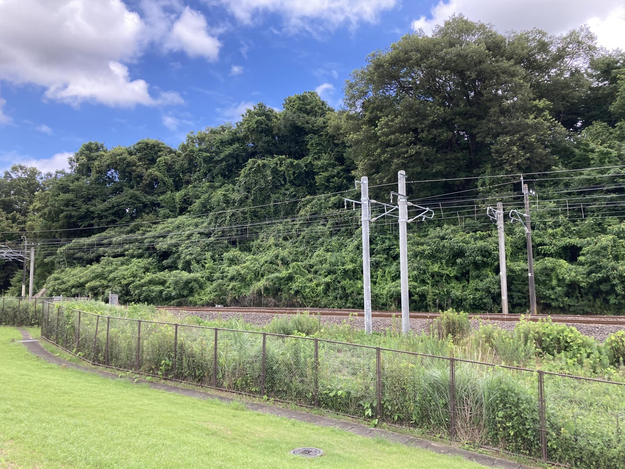 ふる里の杜公園