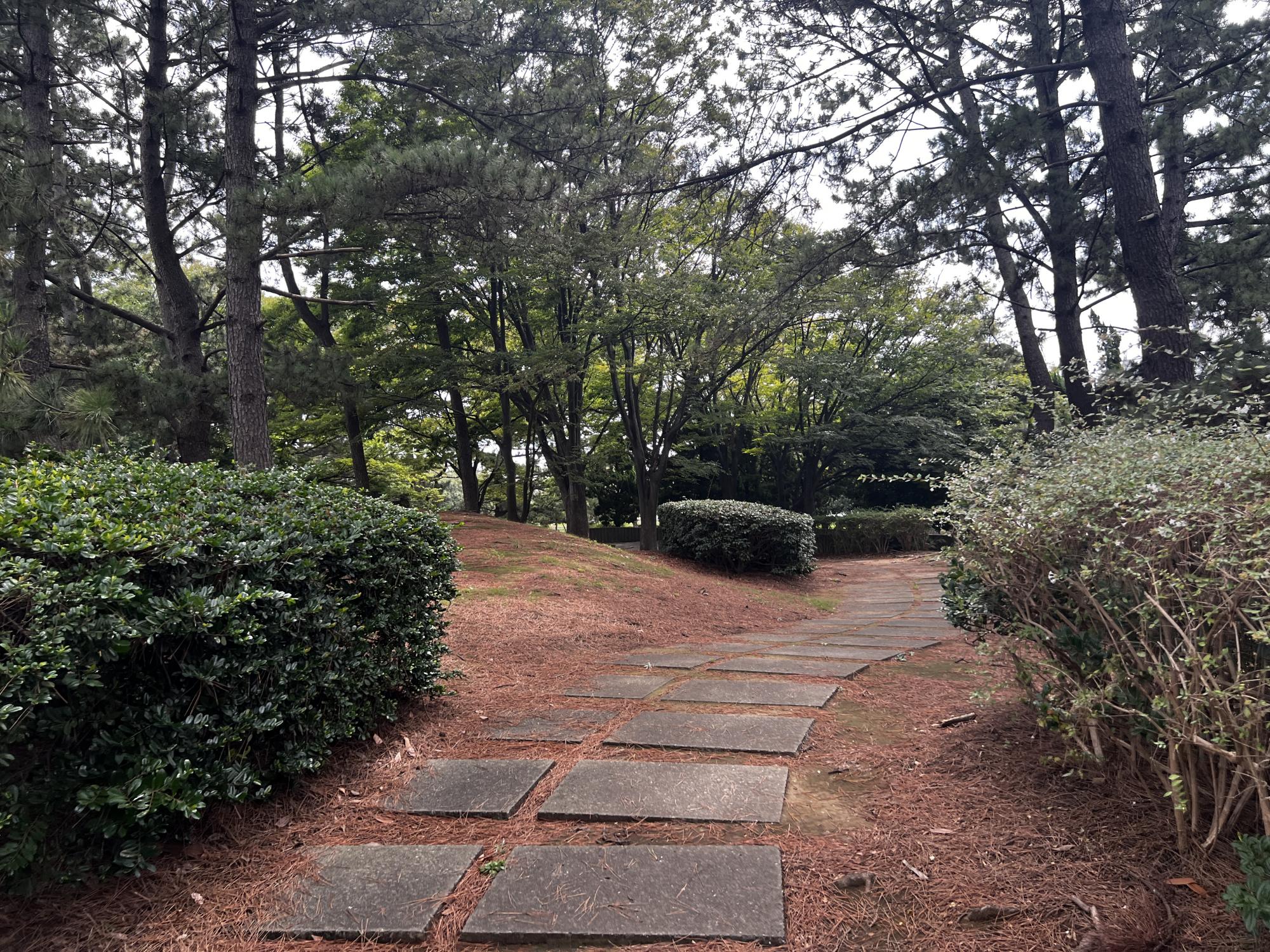 北高浜公園