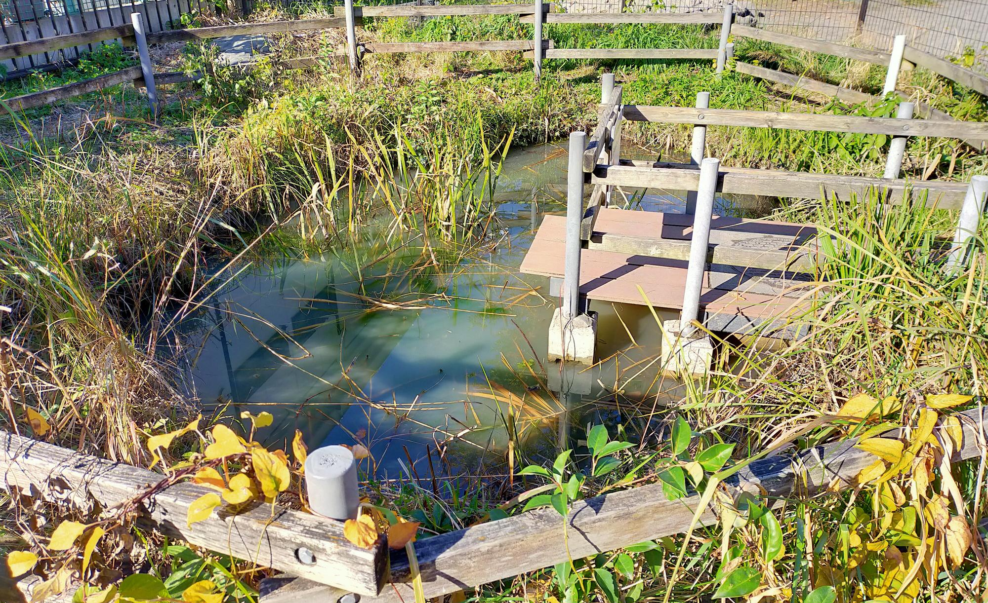 江東区立堅川第一公園
