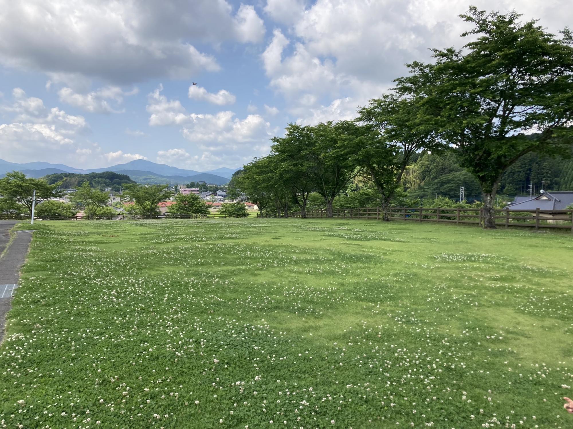 笠間市総合公園(ピクニック広場)