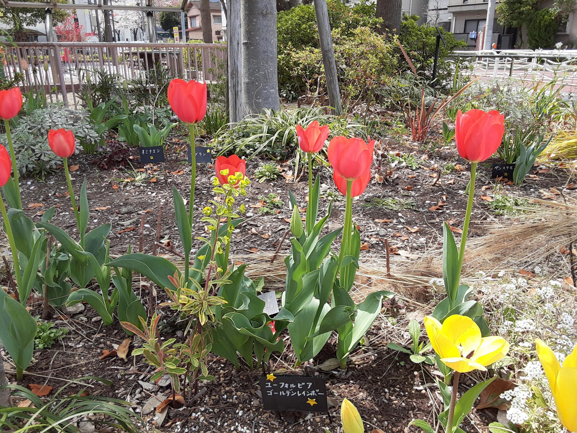 北砂一丁目第二児童遊園
