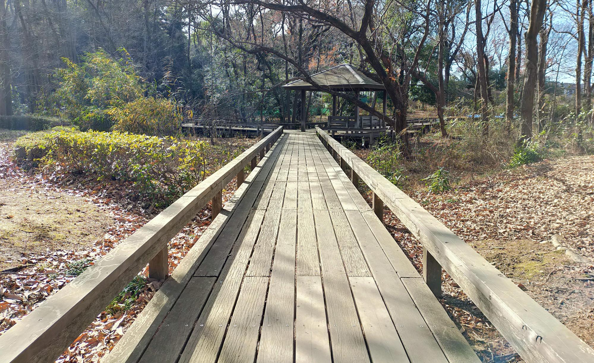 伊奈町制施行記念公園
