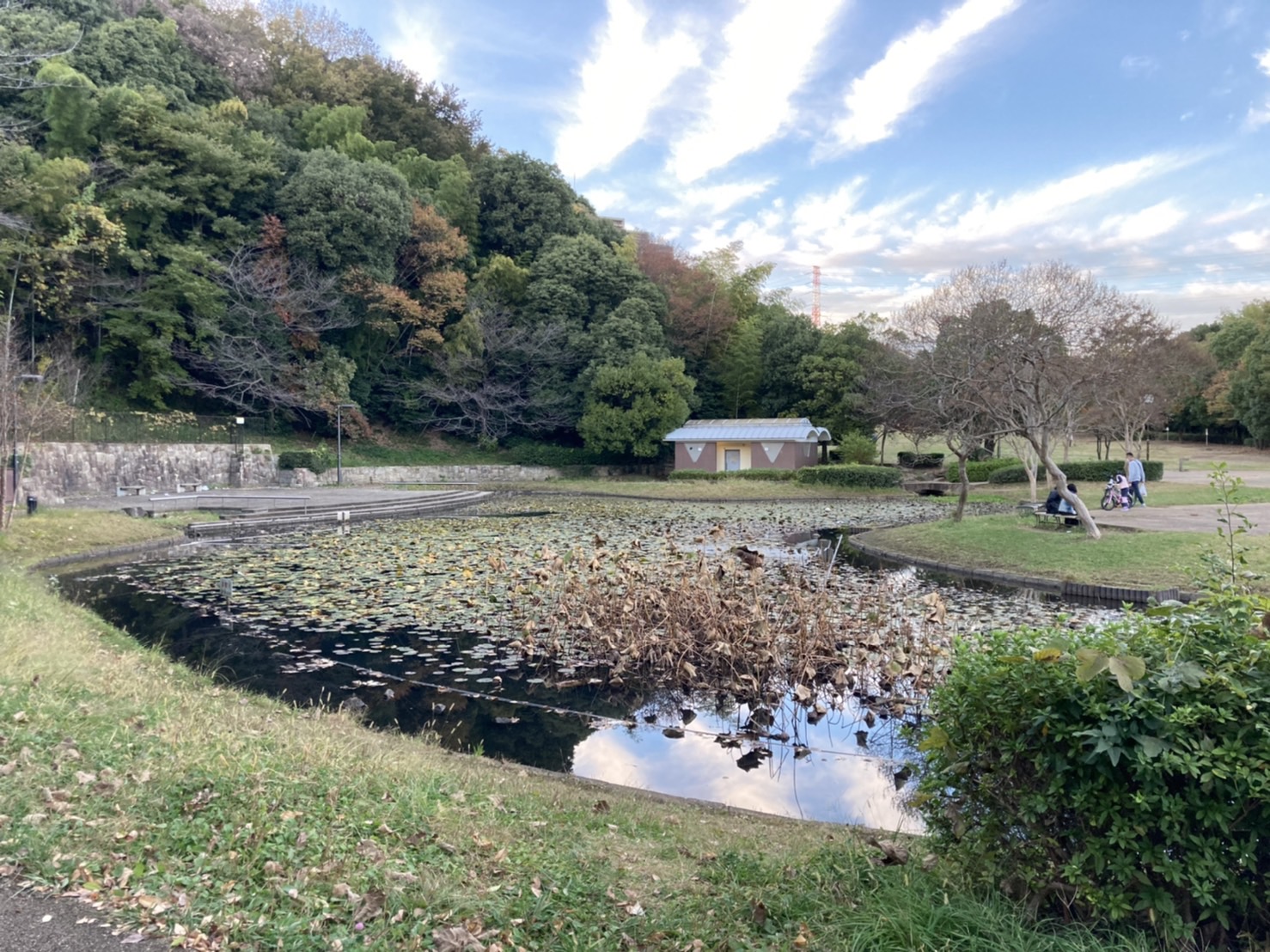 山田富士公園