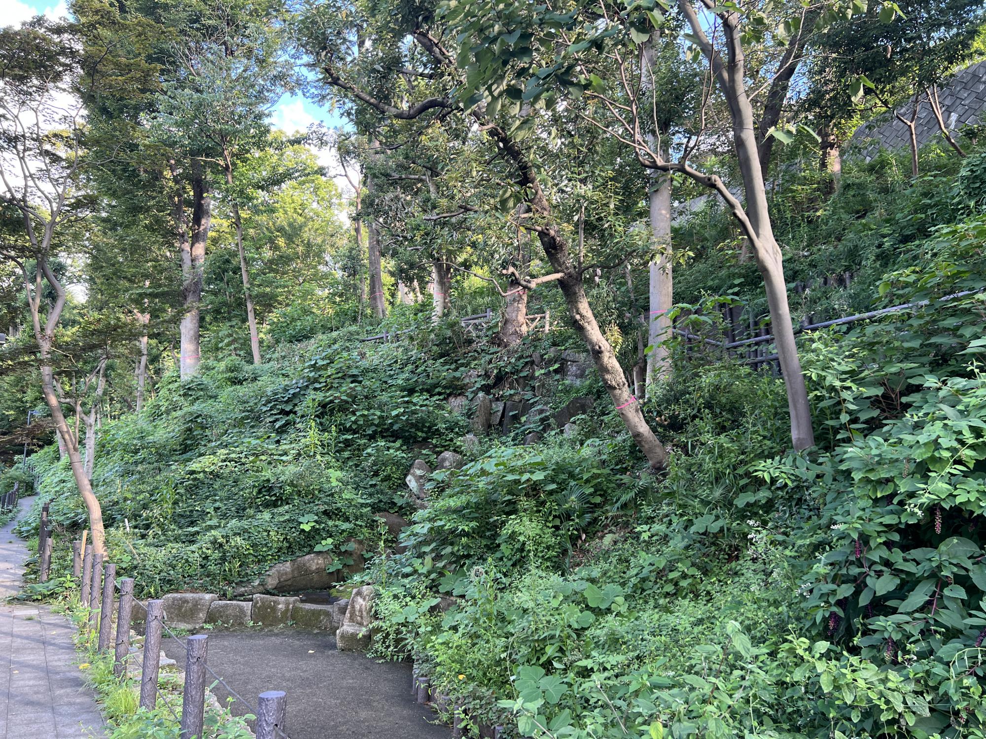 板橋区立西台公園