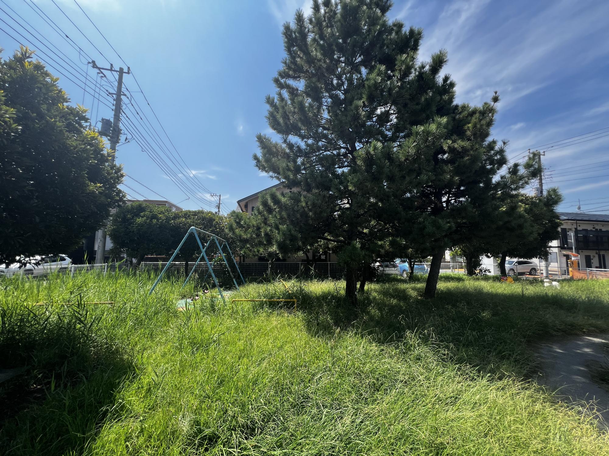 入船西児童公園