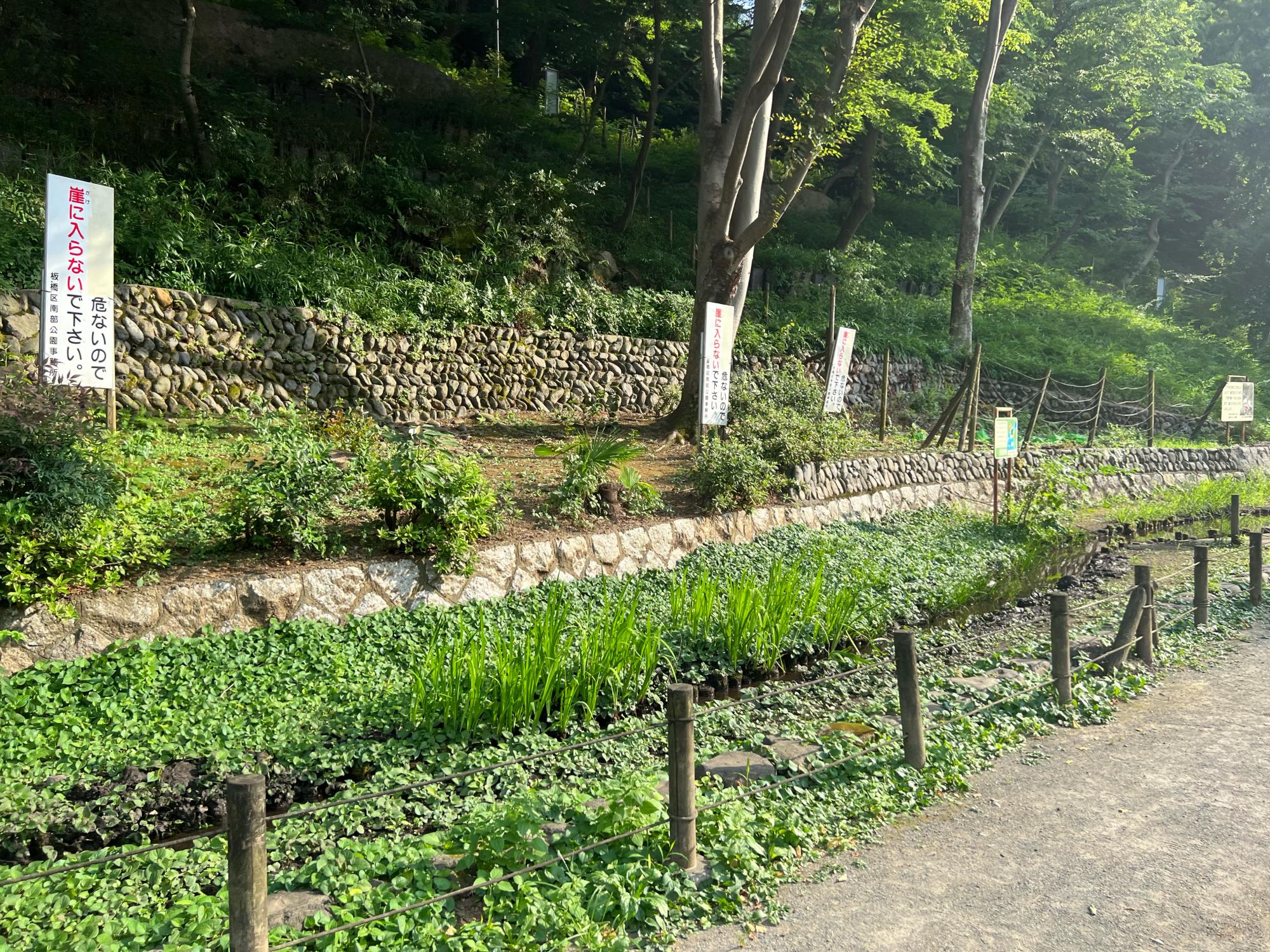 志村城山公園