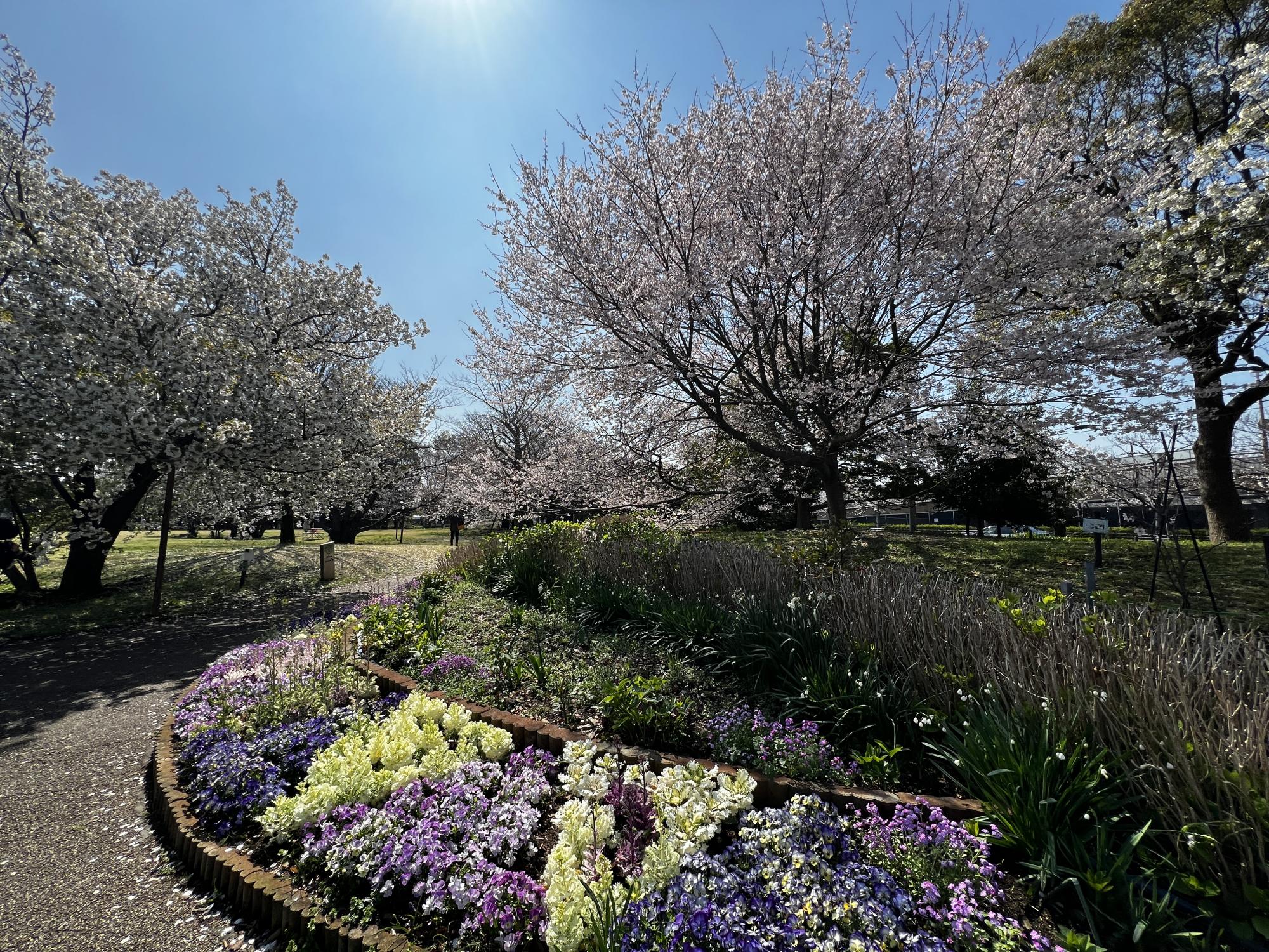 弁天ふれあいの森公園