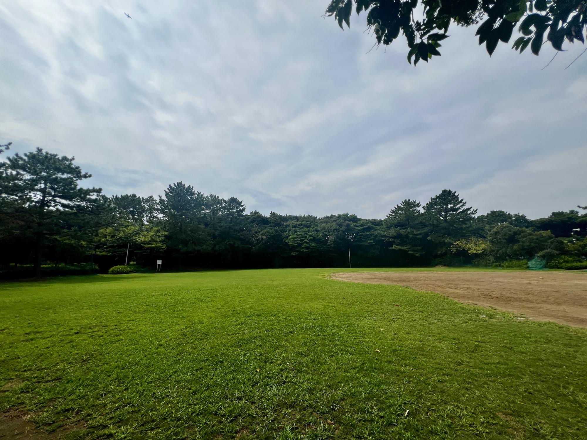 南高浜公園