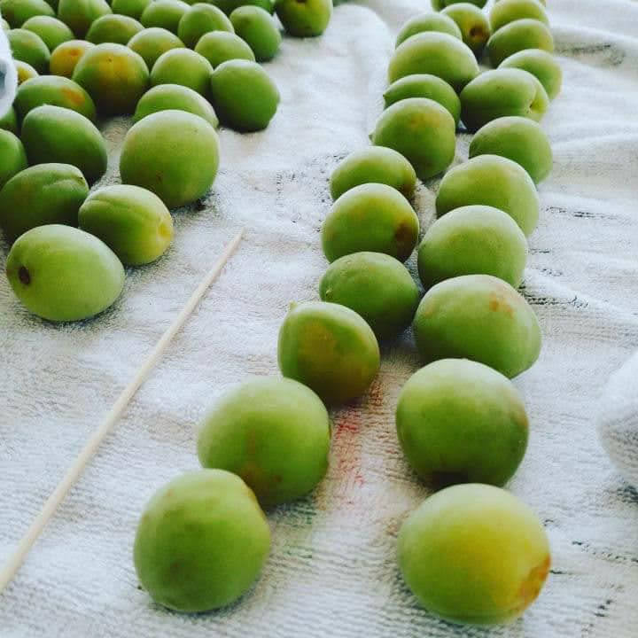 いのうえさん家の台所