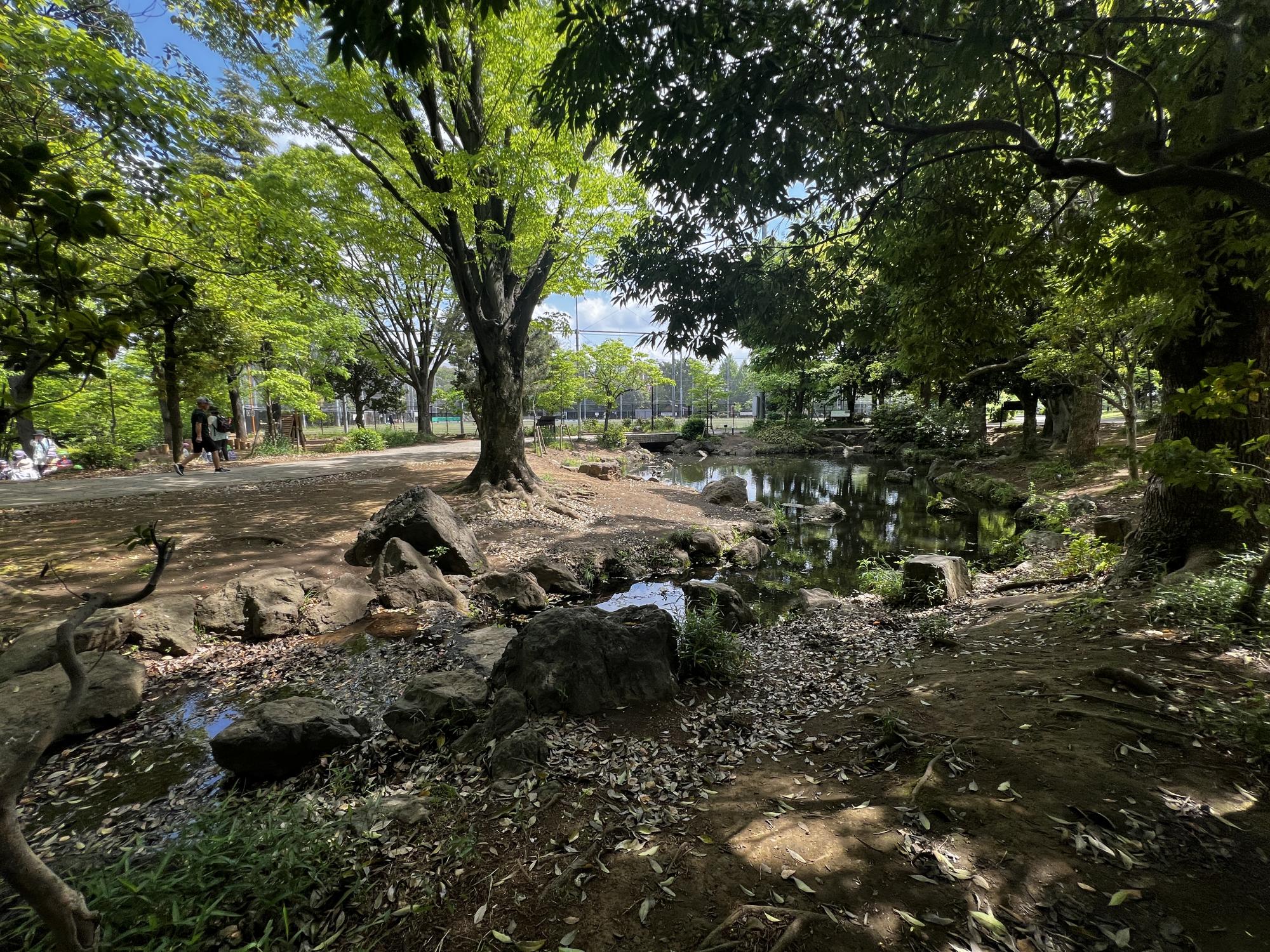 平和の森公園