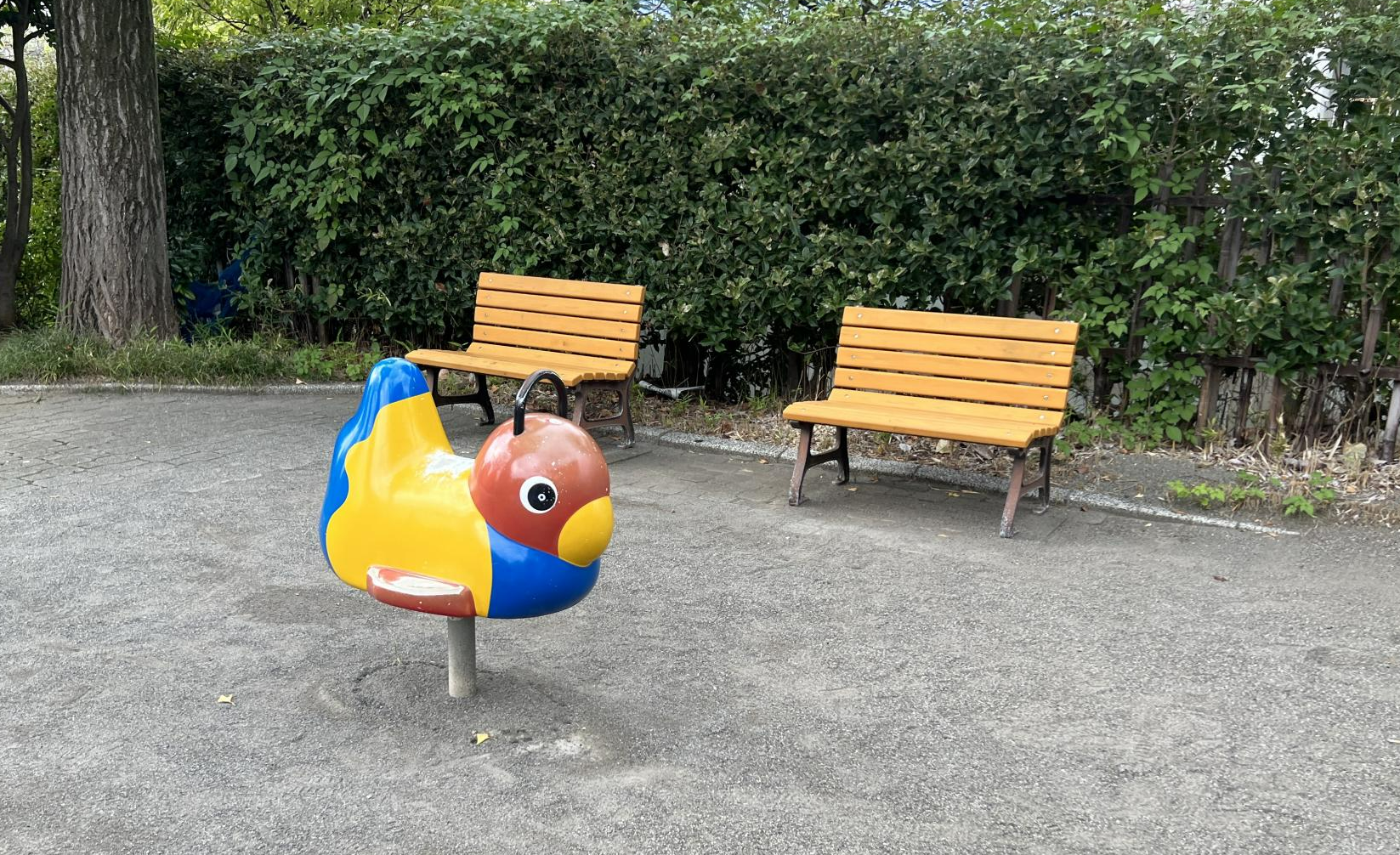 新宿区立矢来公園