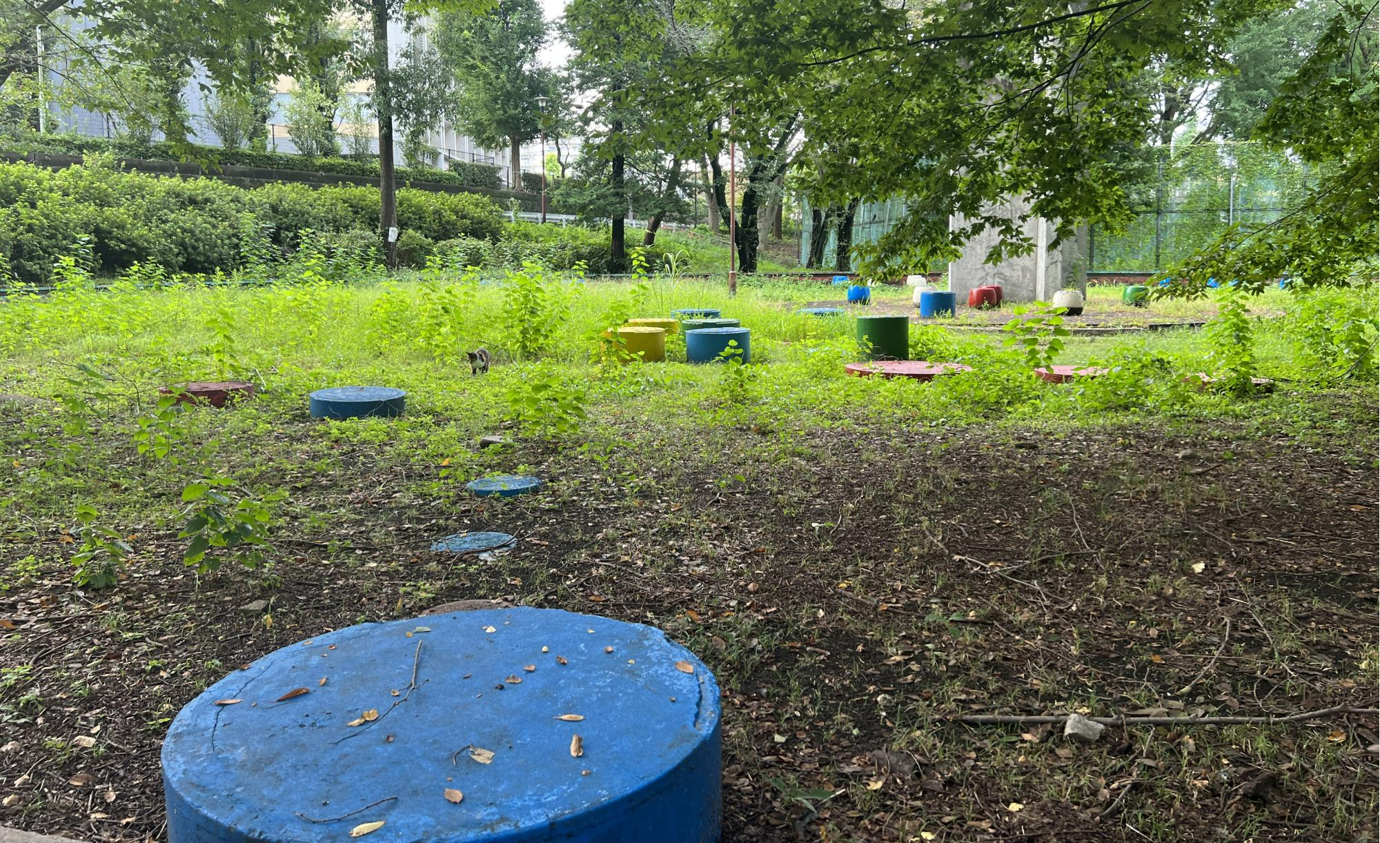 北区立桐ヶ丘中央公園