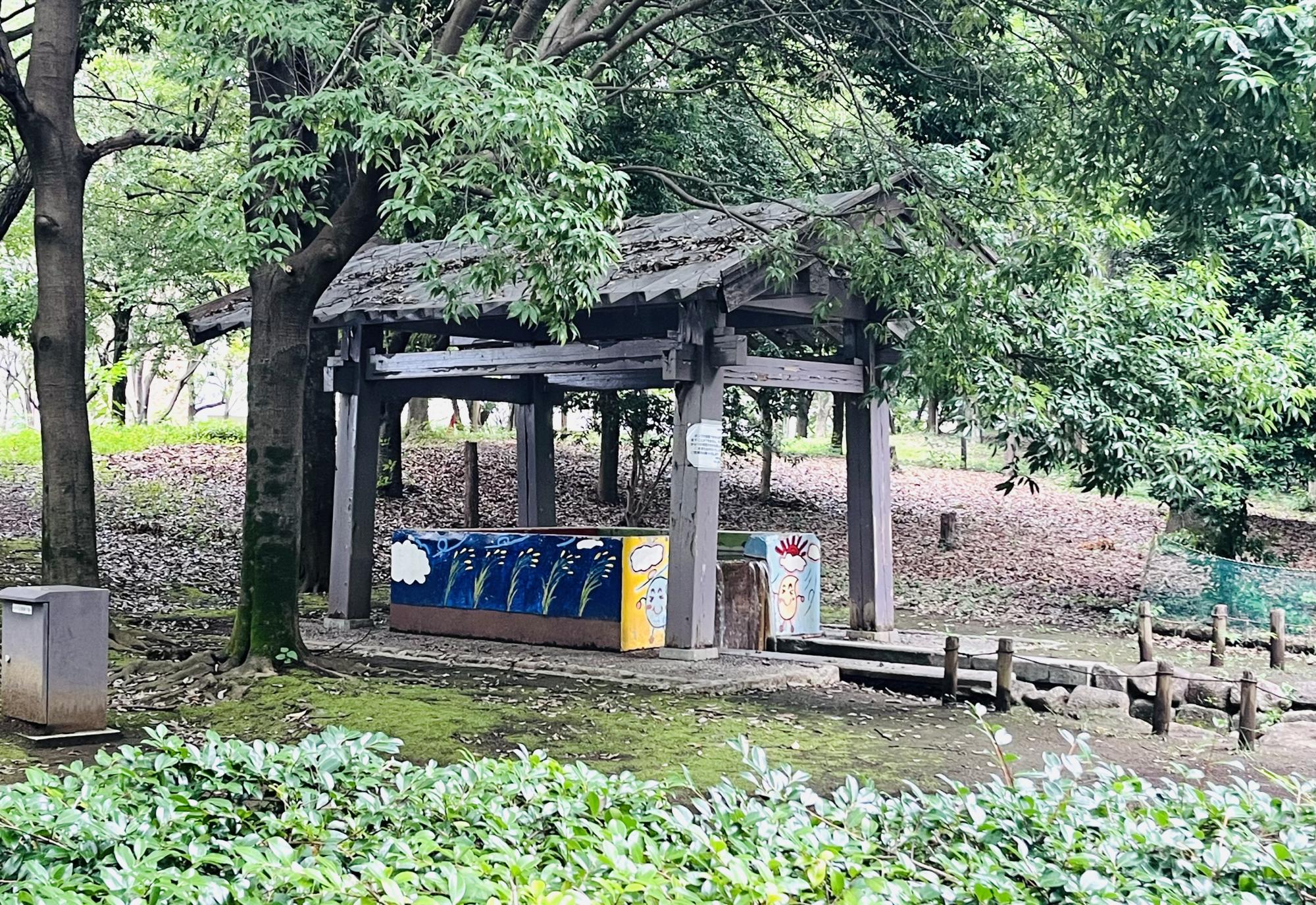 秋の陽公園