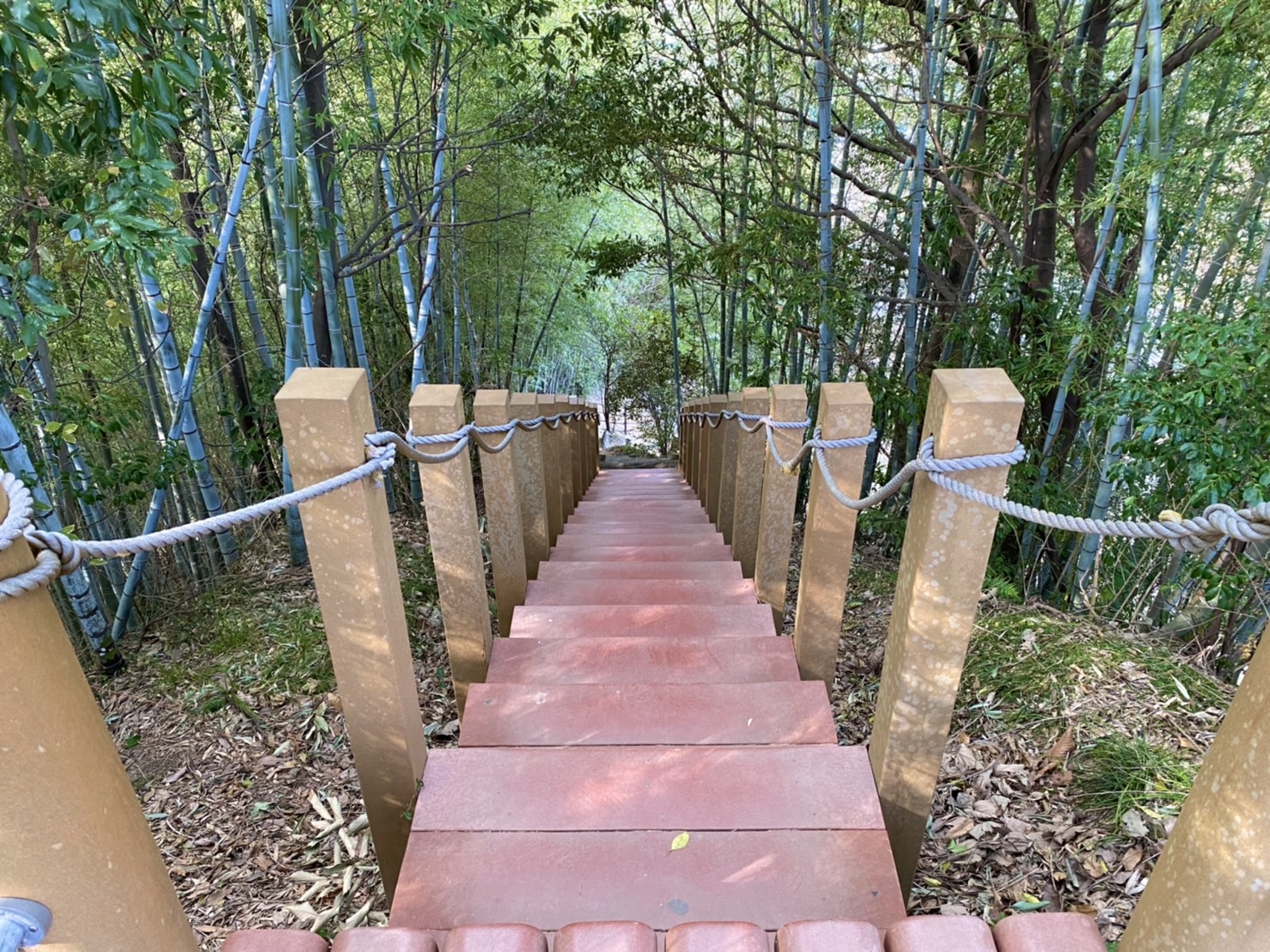 清水日本平運動公園