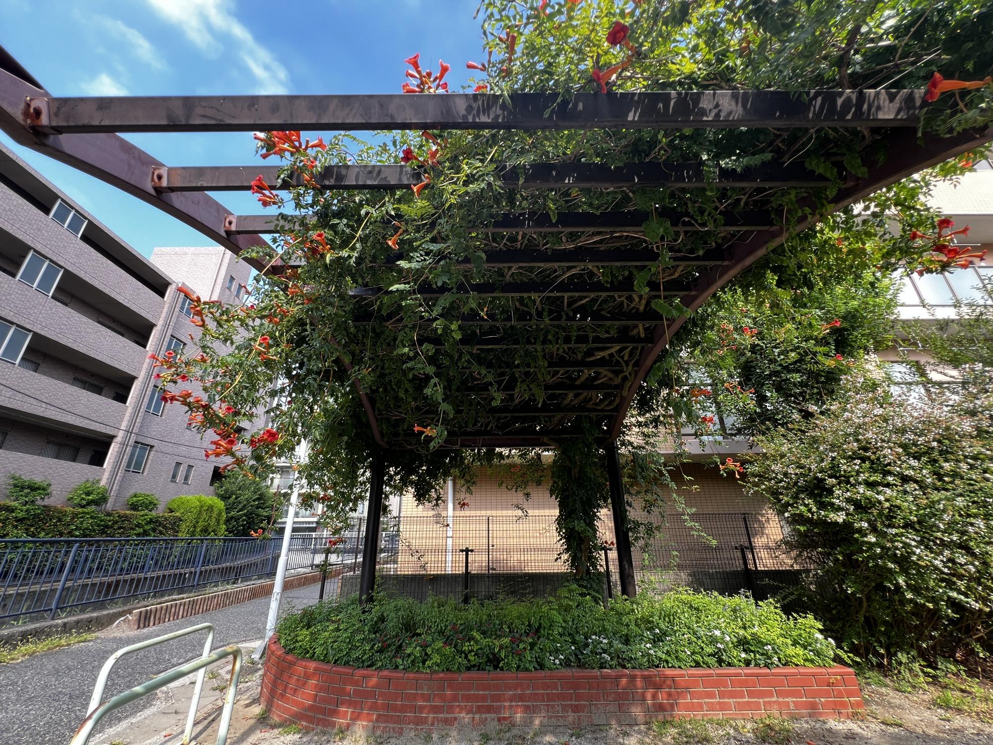 新中宿第2街区公園