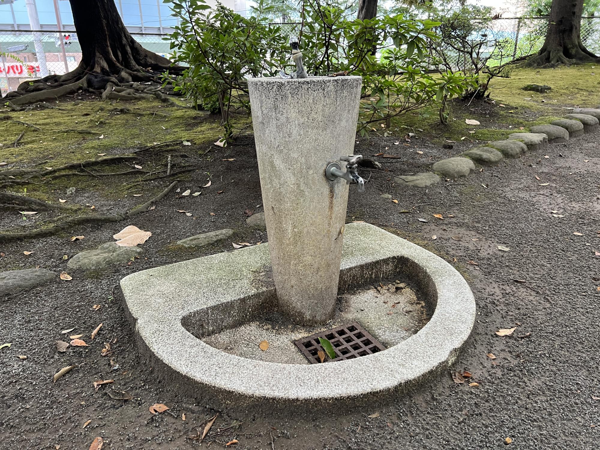 中台しいのき公園