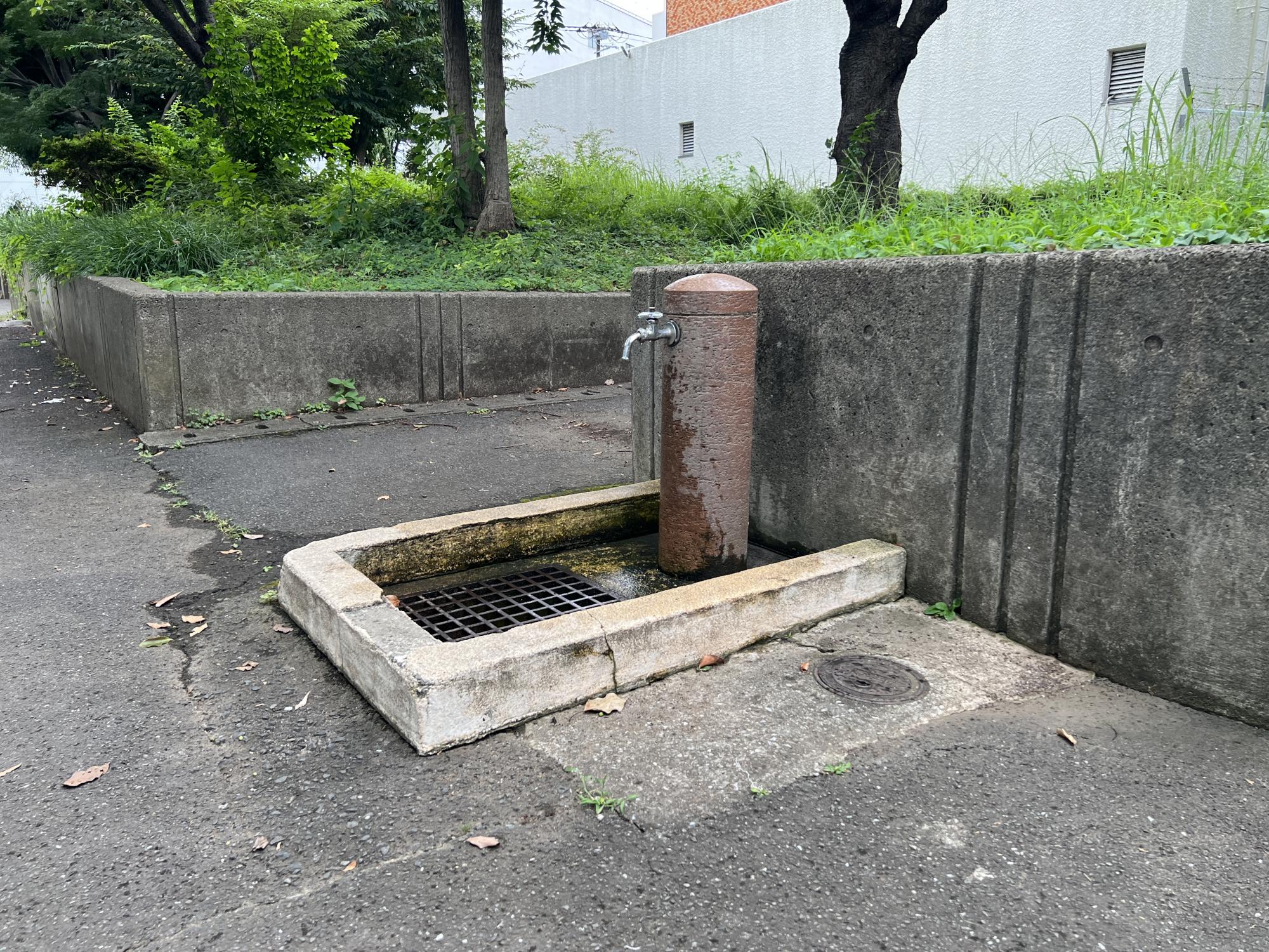 板橋区立西前野公園