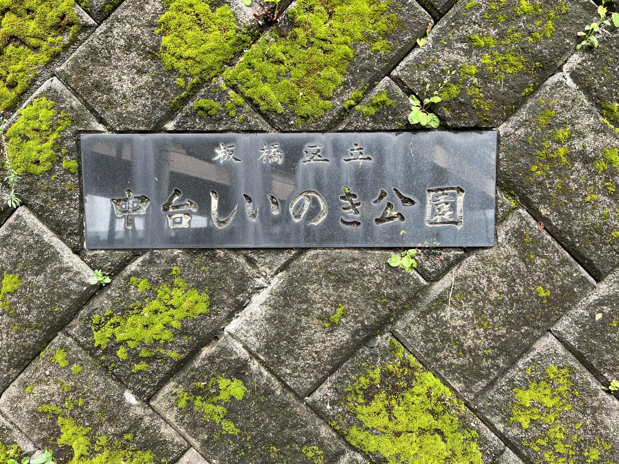 中台しいのき公園