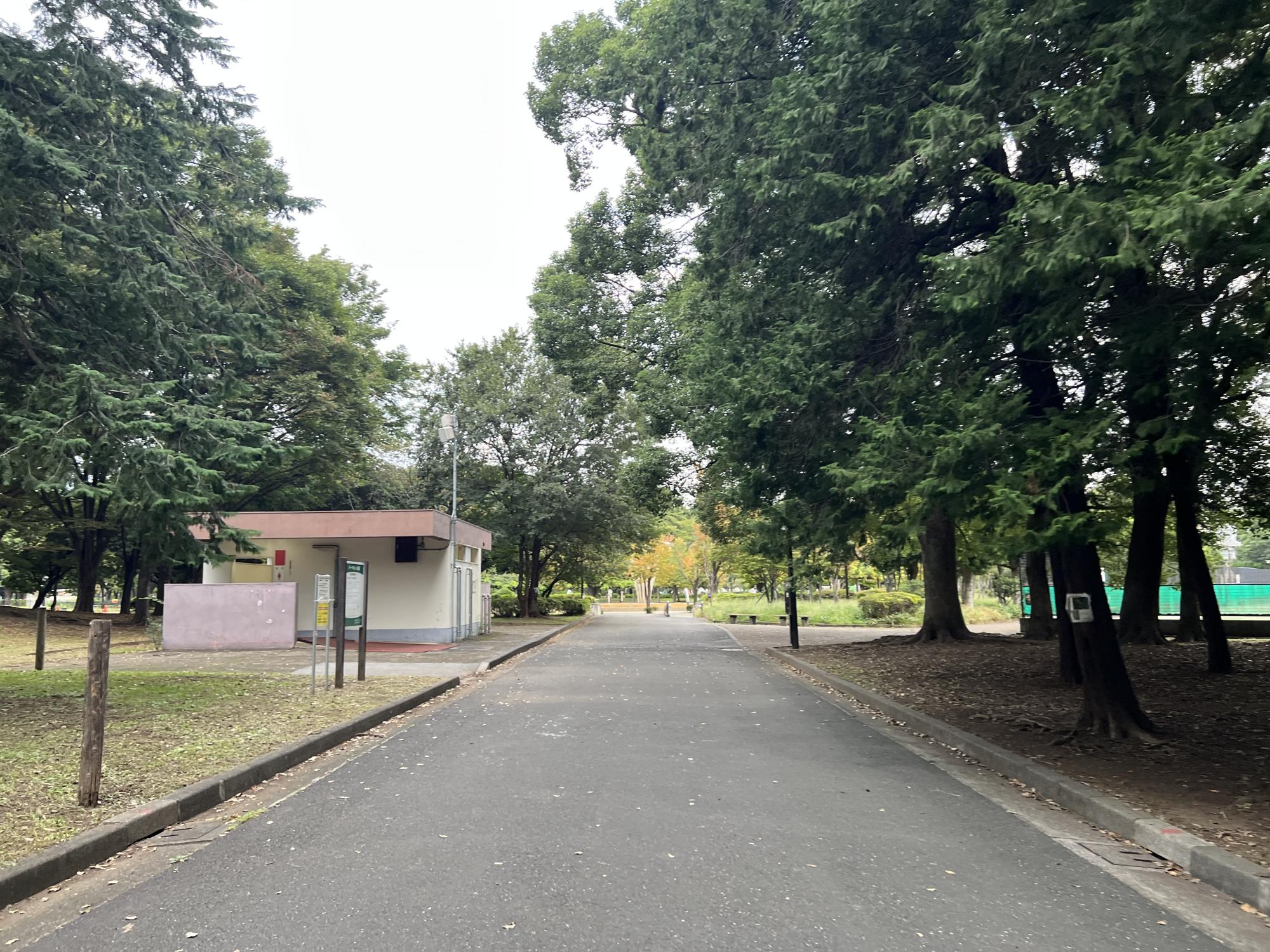 都立赤塚公園