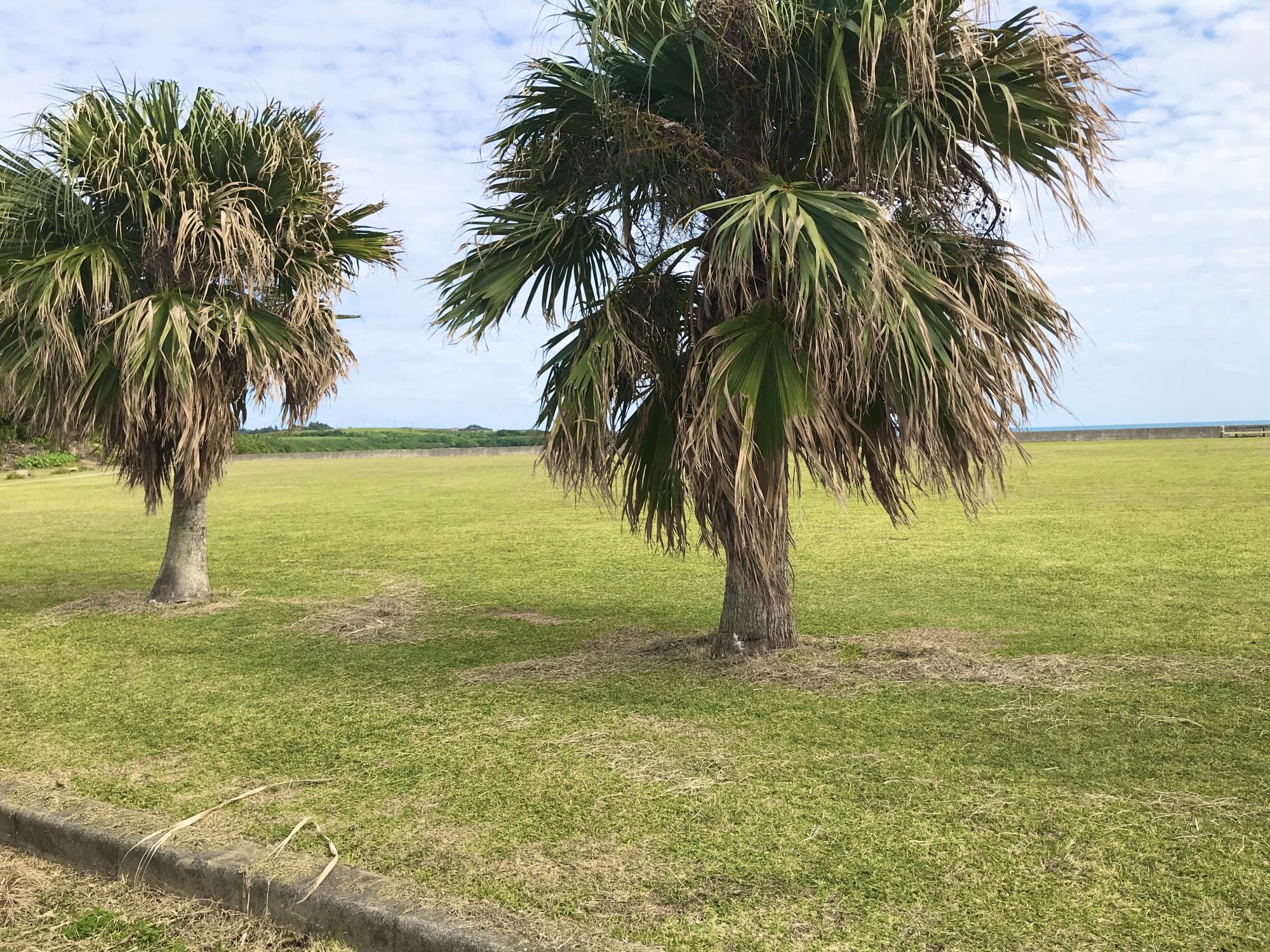 海人公園