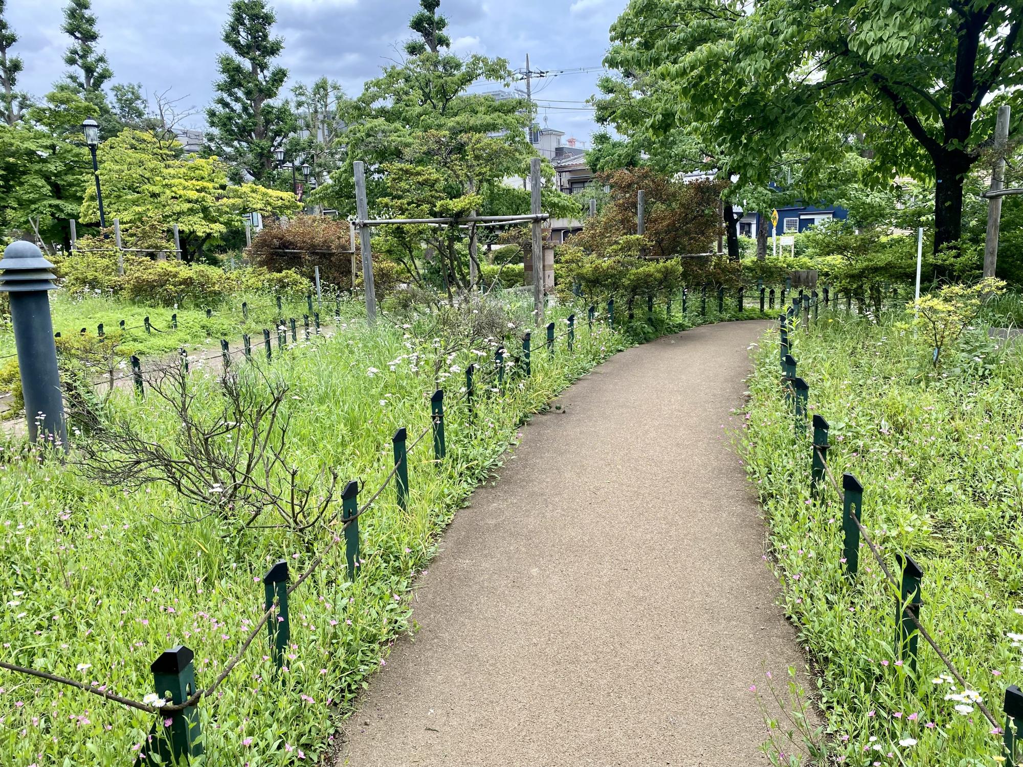 平成つつじ公園