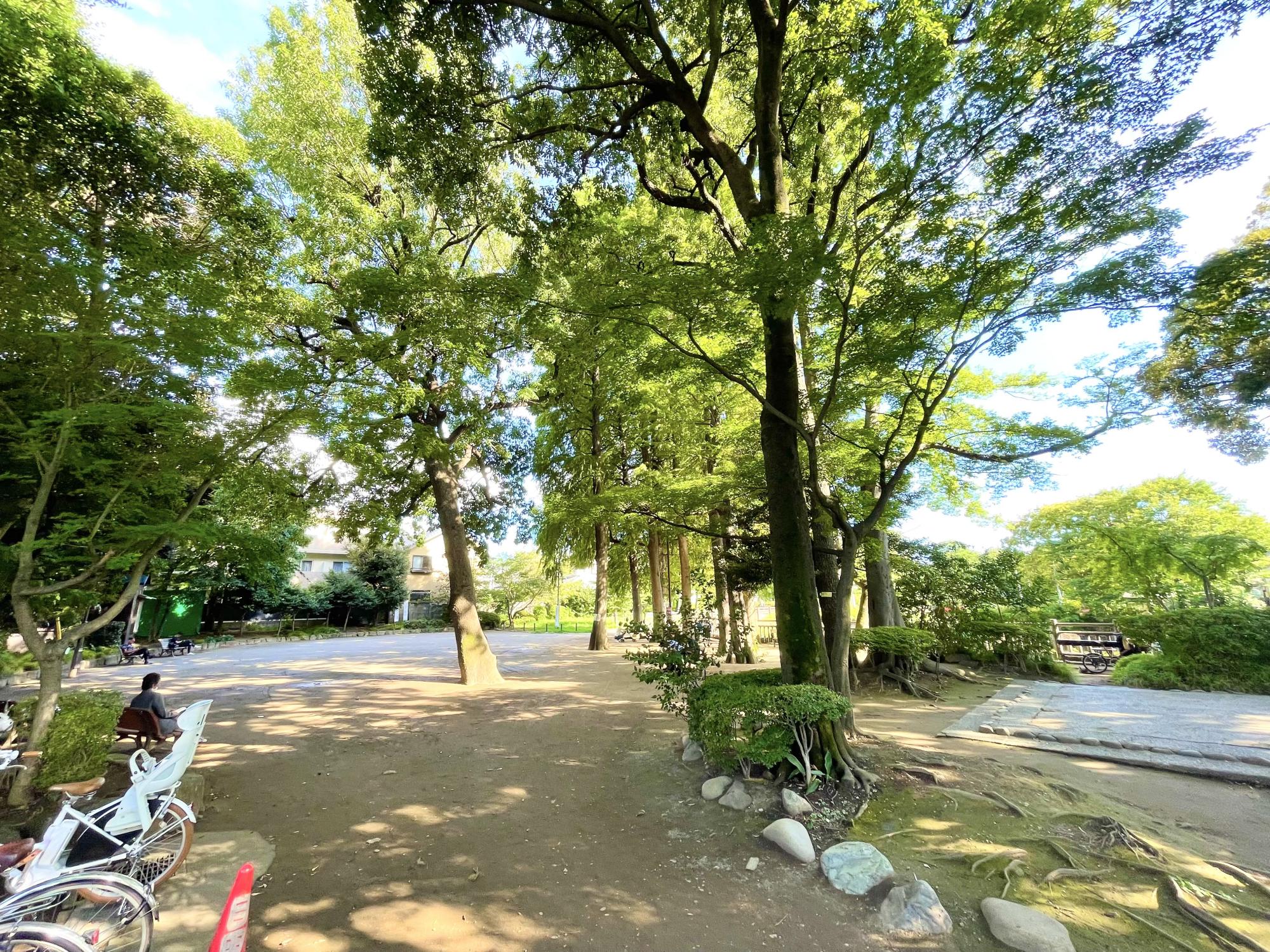 碑文谷公園