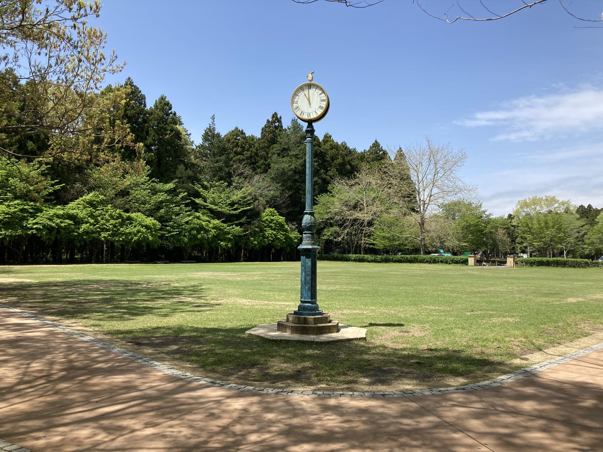 七ツ洞公園