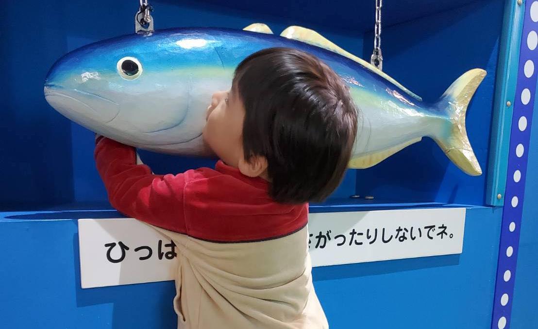 魚津水族館｜富山　魚津　おでかけ