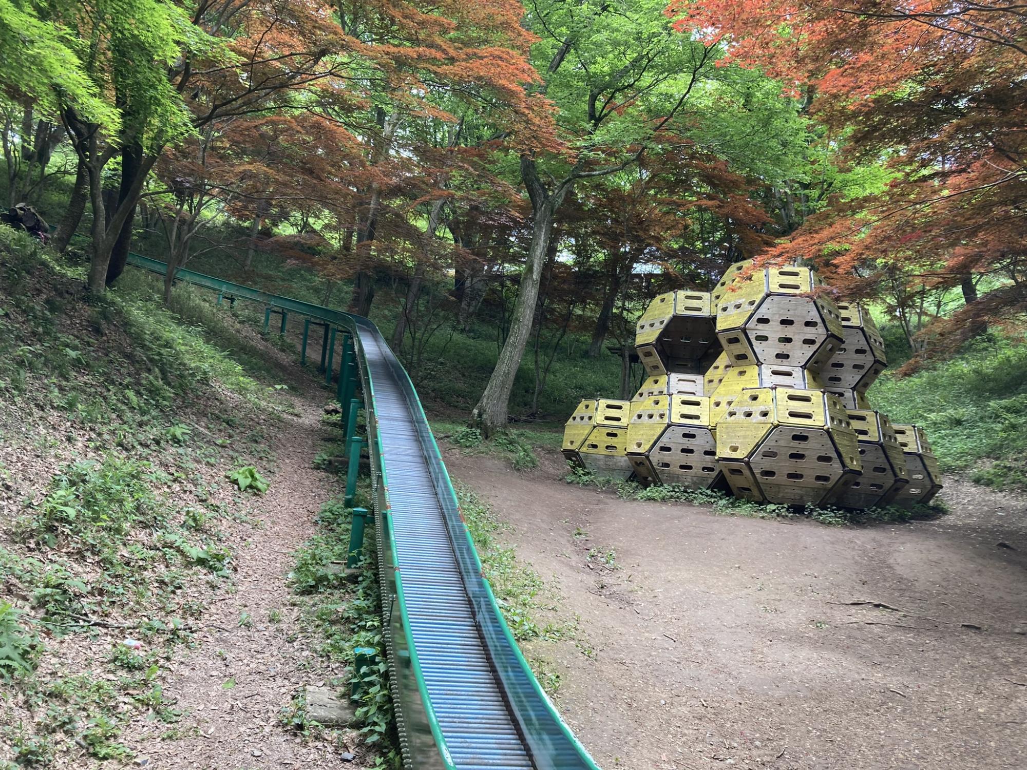 水戸市森林公園