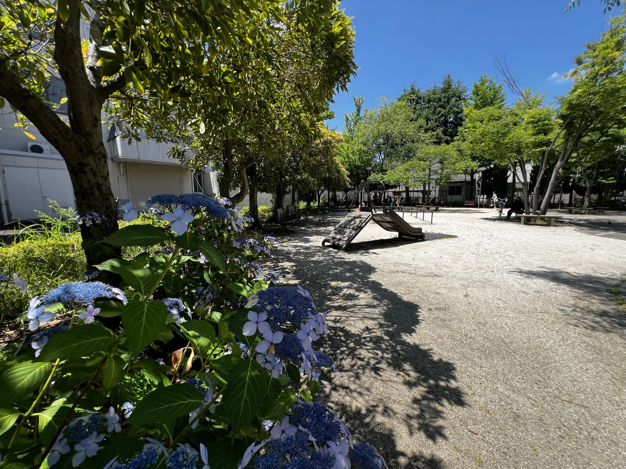 中央三丁目公園