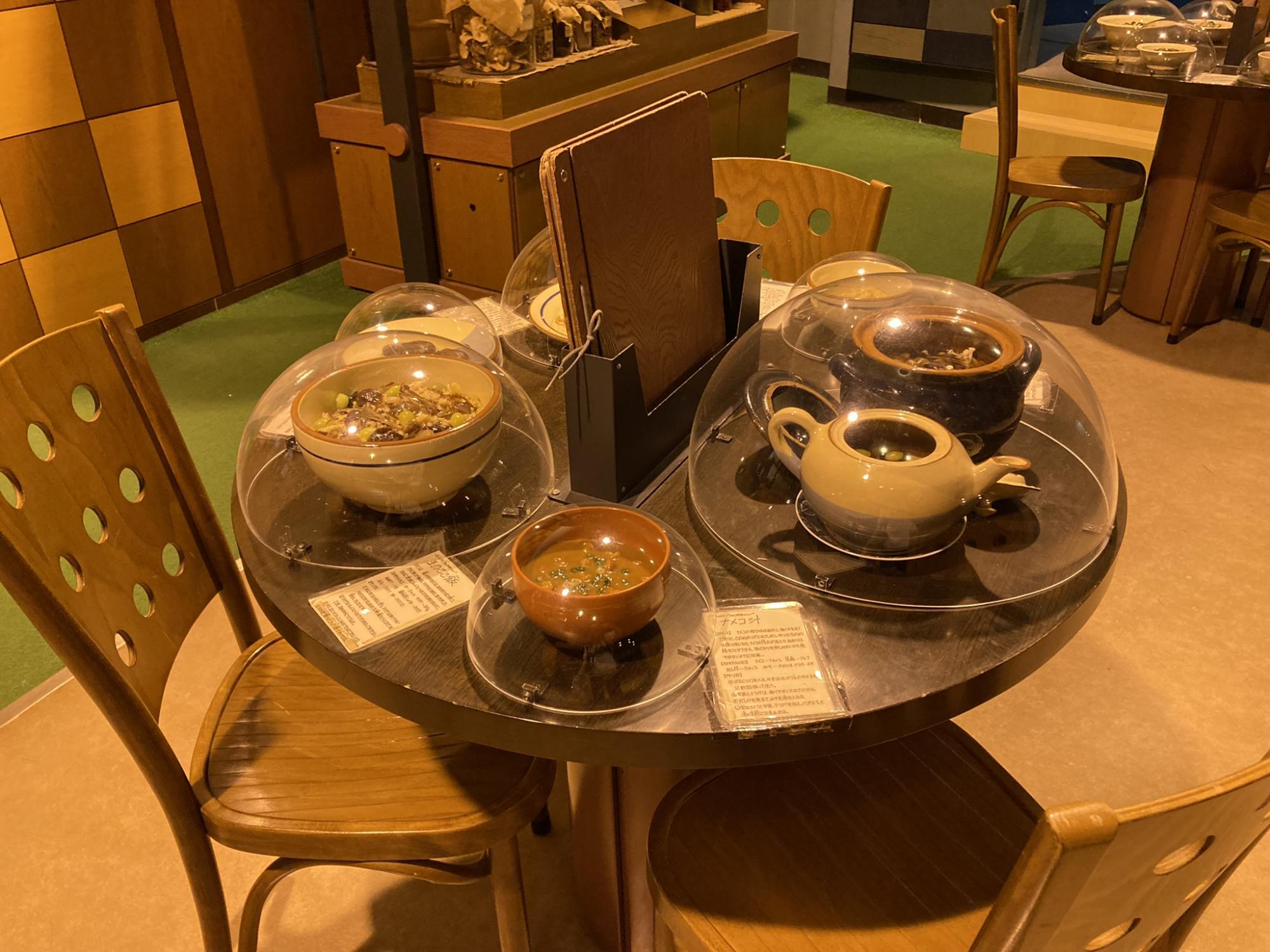 茨城県きのこ博士館