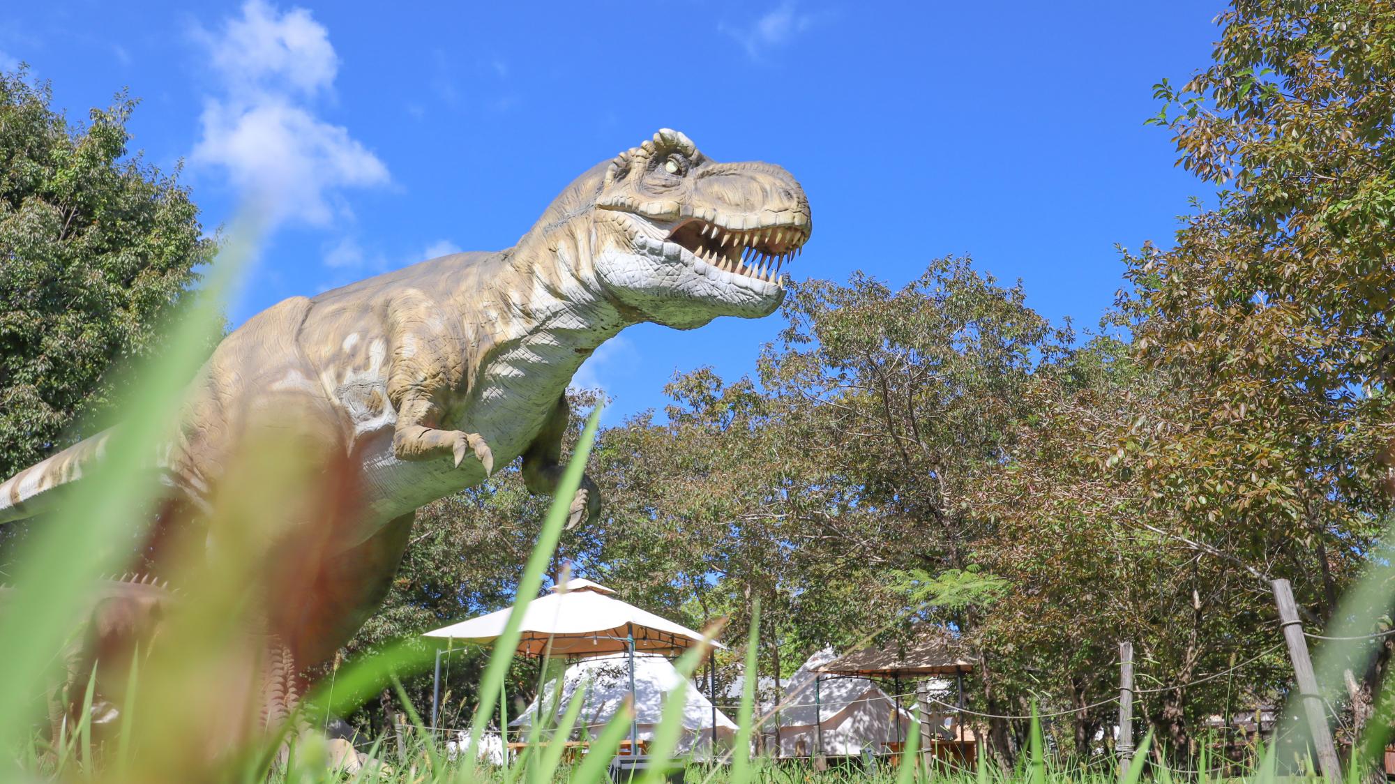 はままつフルーツパーク時之栖