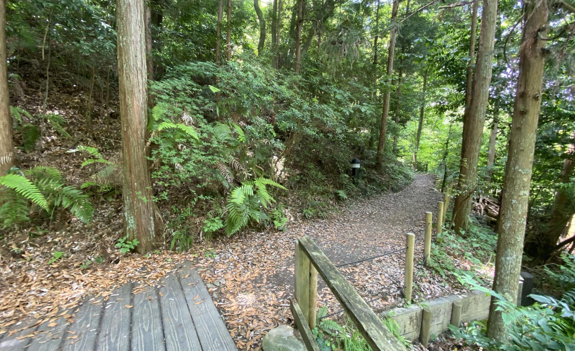 岡崎中央総合公園
