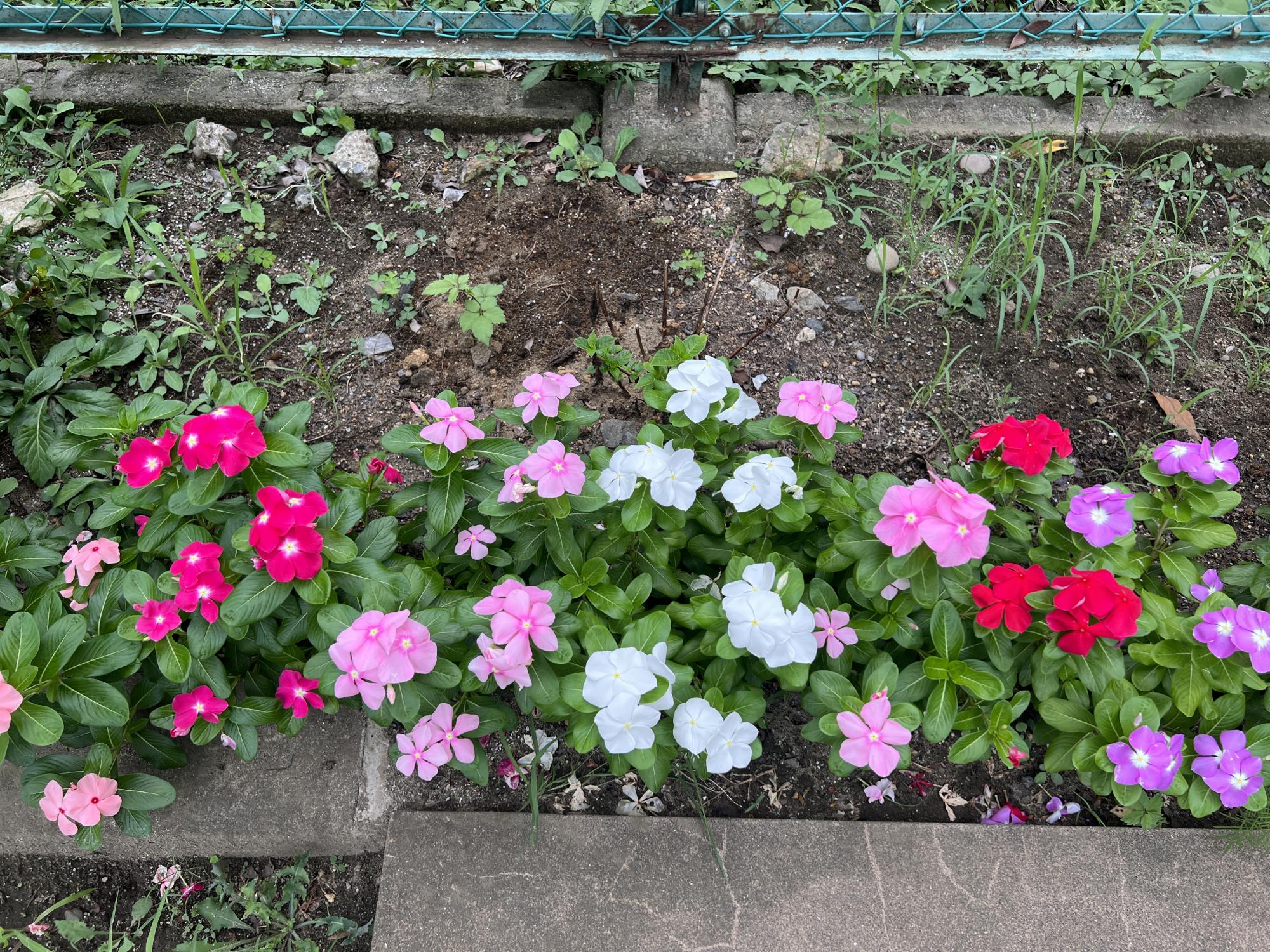 大原みなみ広場