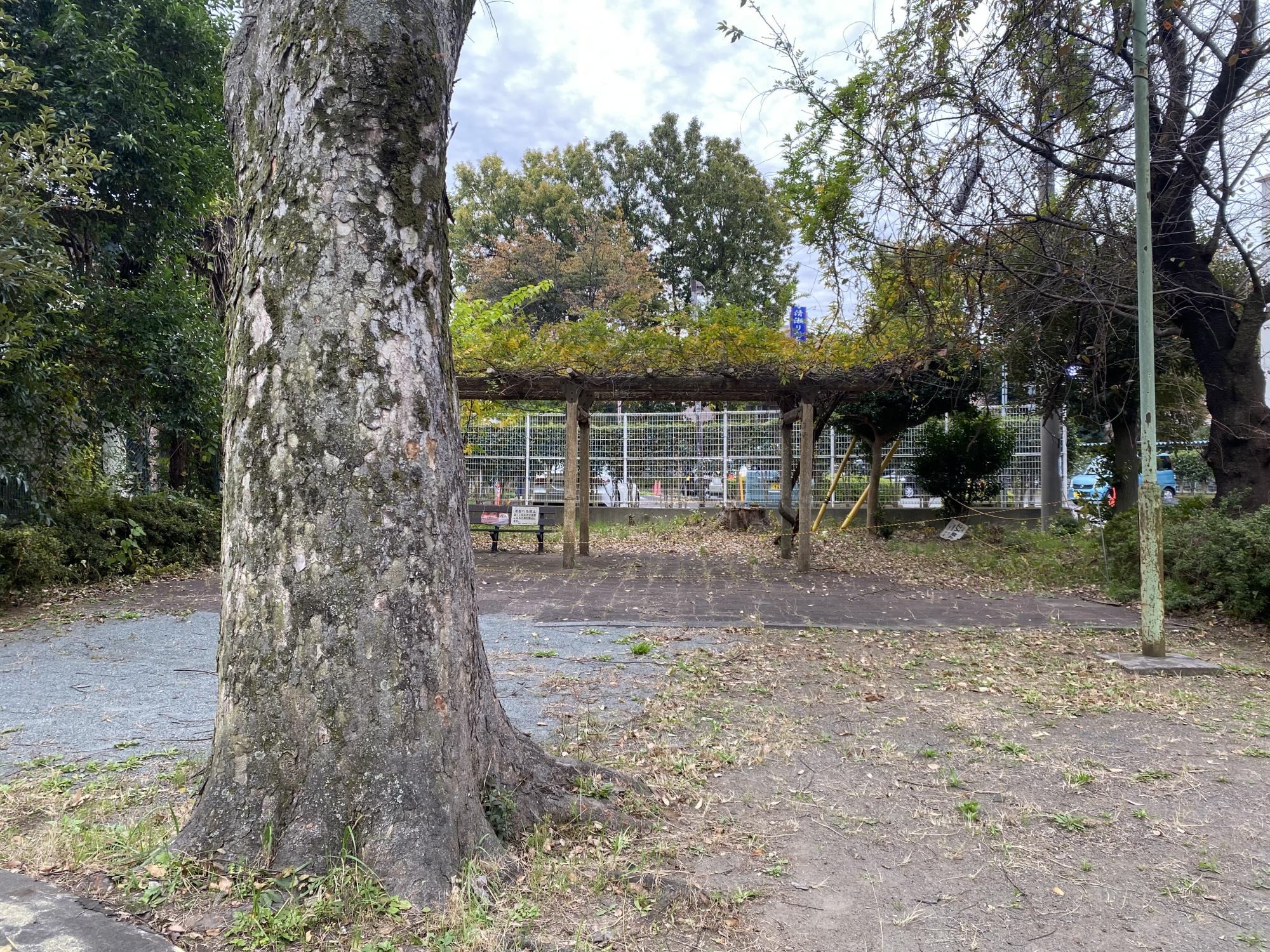 竹丘たけのこ遊園
