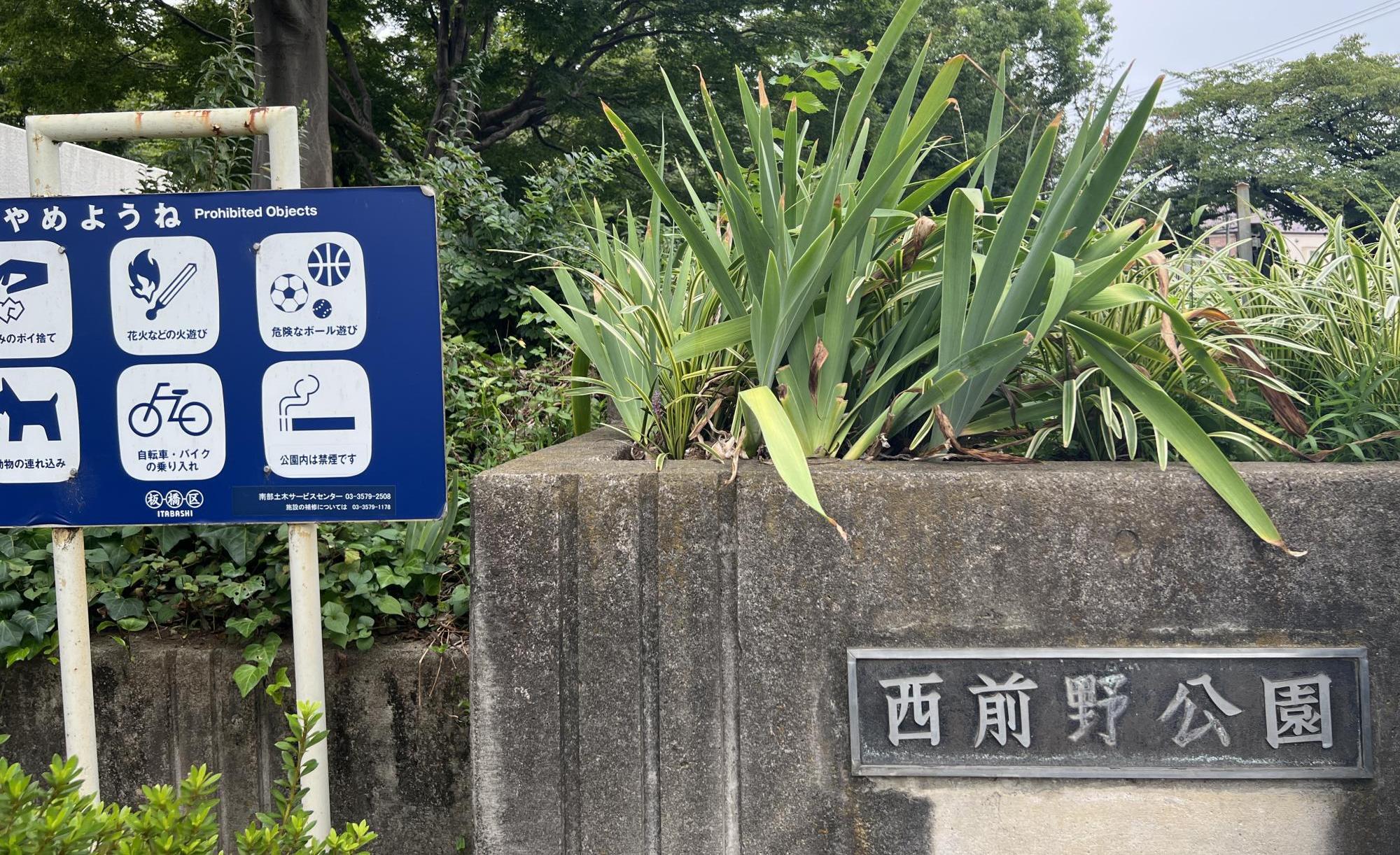 板橋区立西前野公園