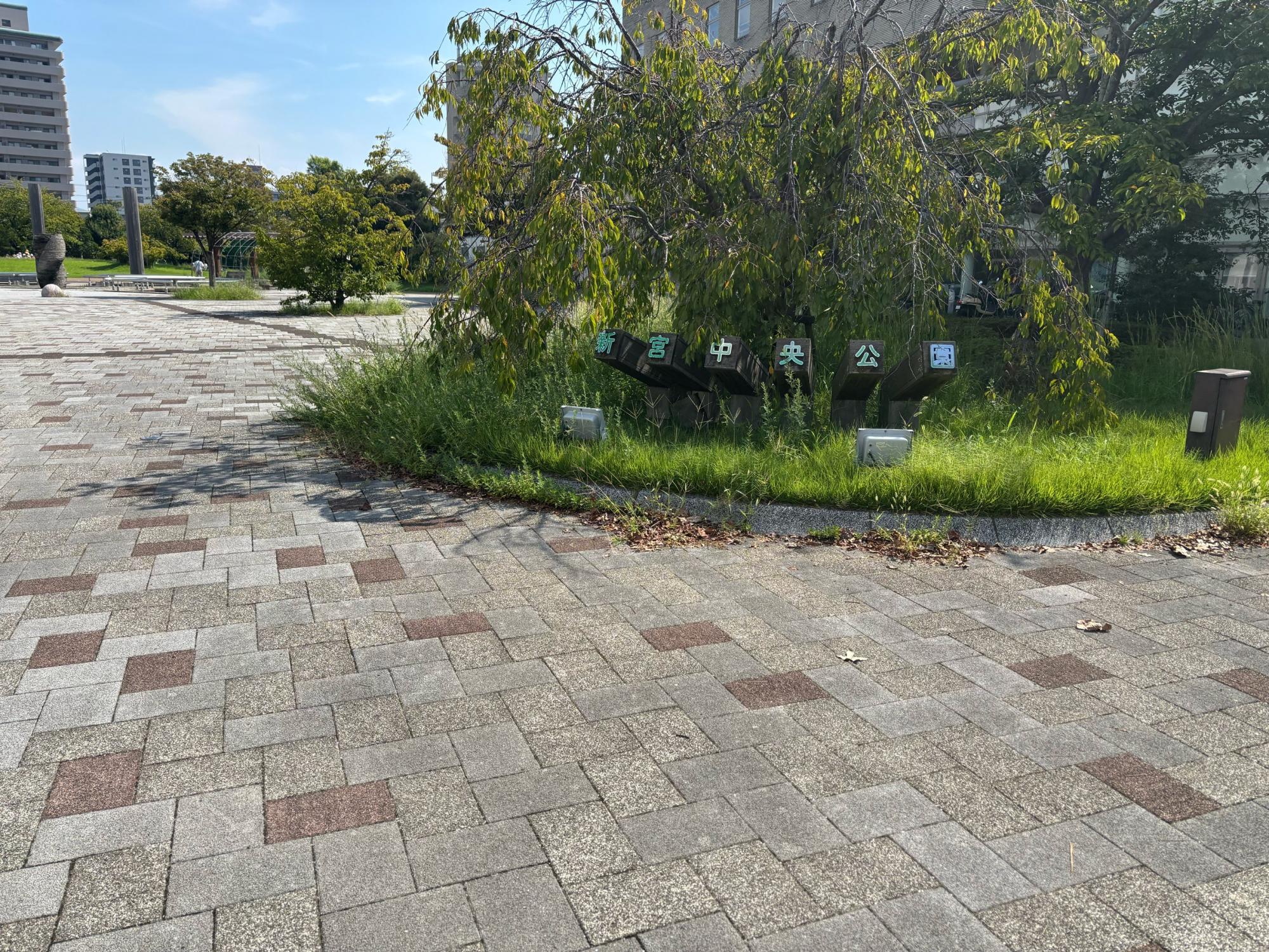 新宮中央公園