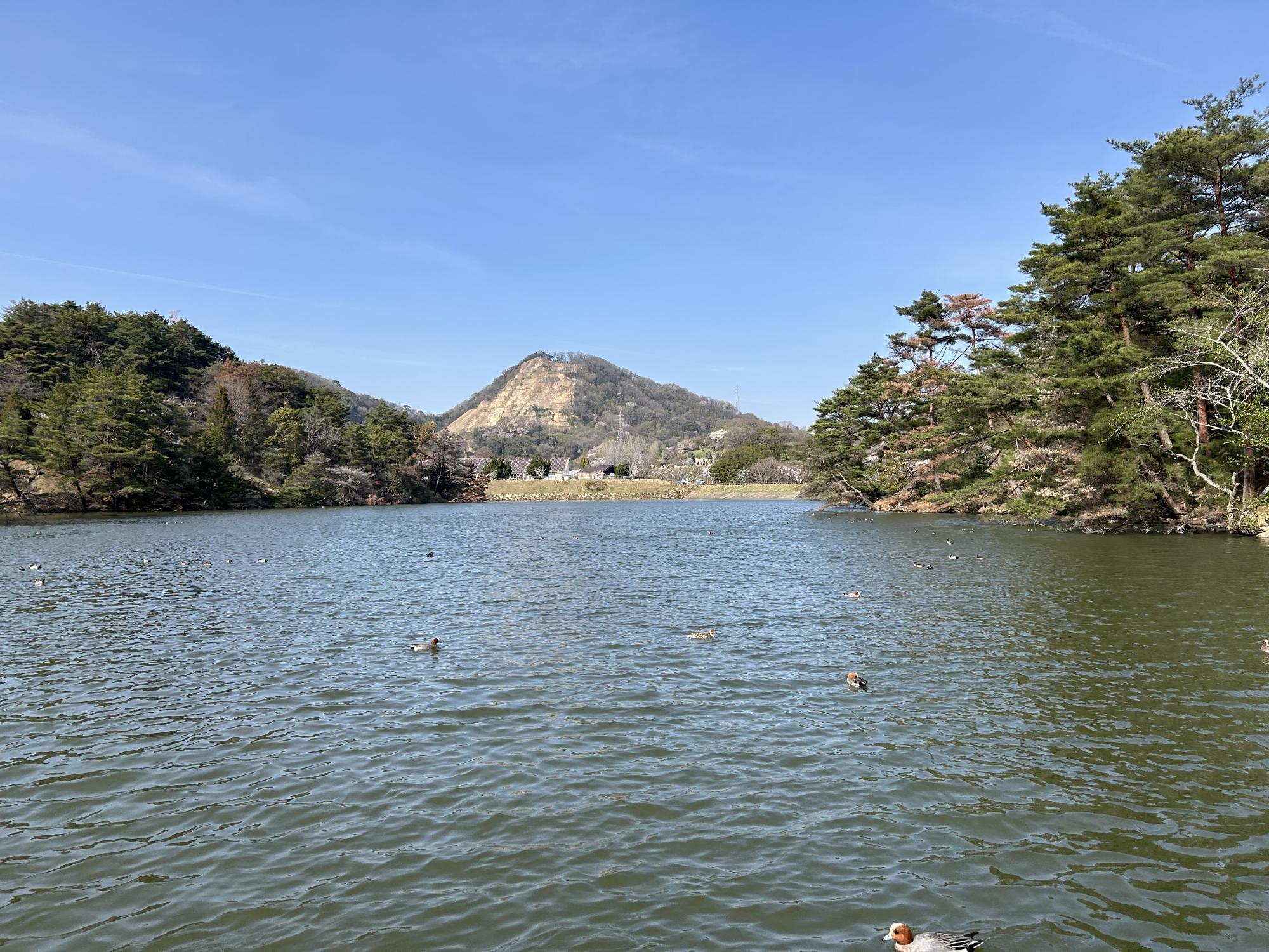 深山公園