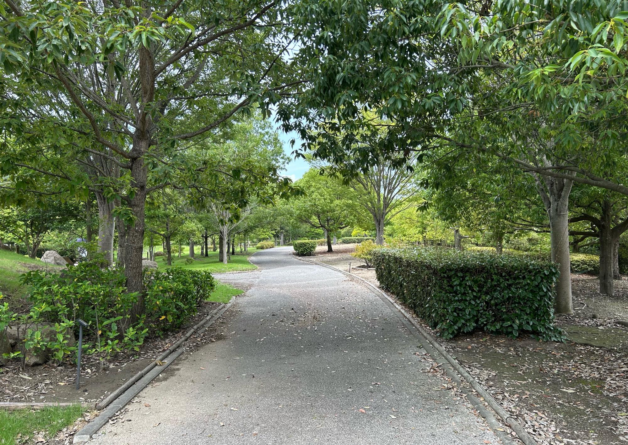 自然環境体験公園