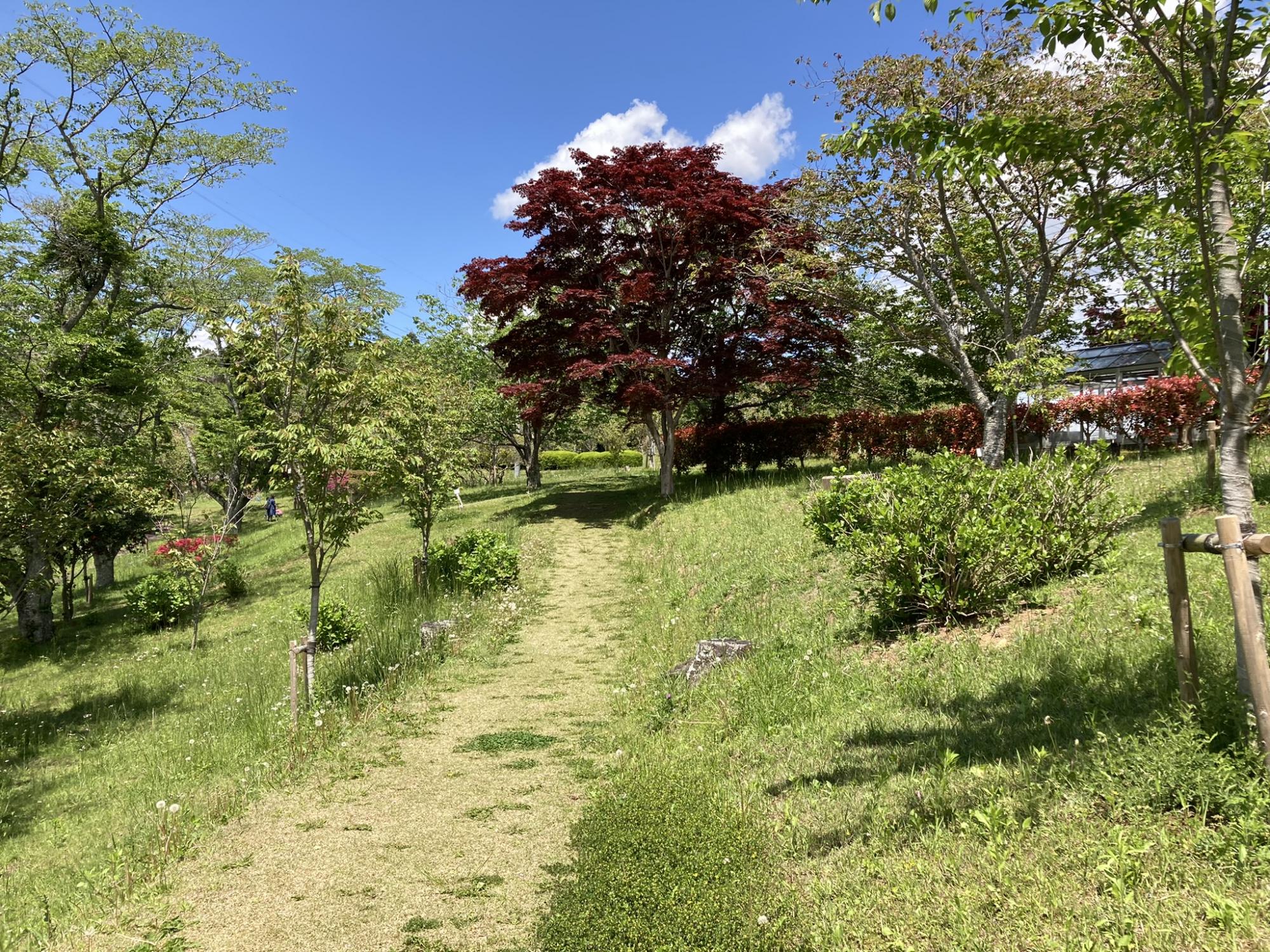 静峰ふるさと公園