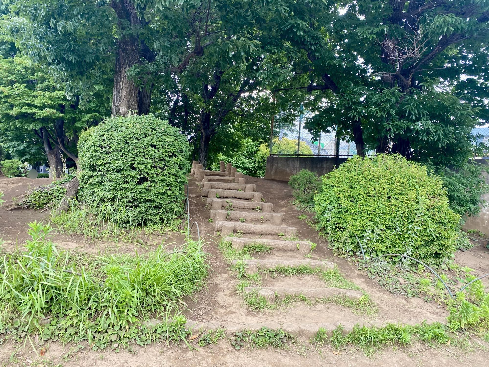 ひばりが丘北わんぱく公園