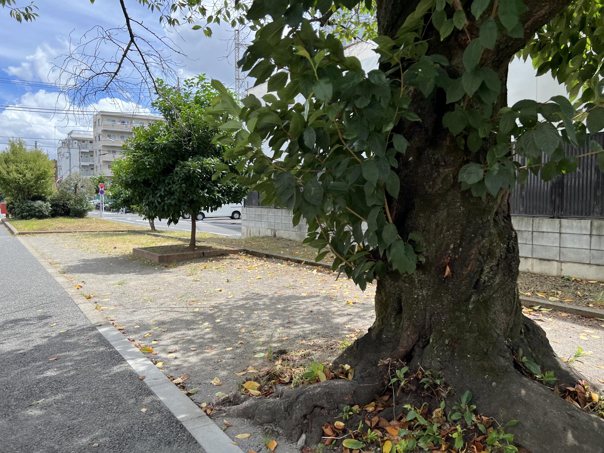 板橋区立へび公園